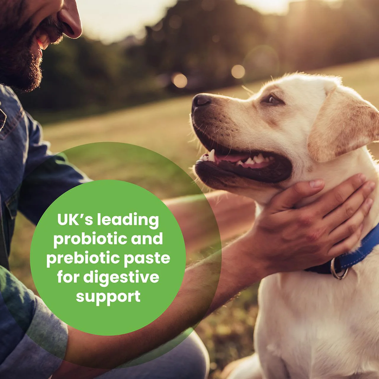 Protexin Pro-Kolin Probiotic Paste for Dog & Cat 60ml - Image 3
