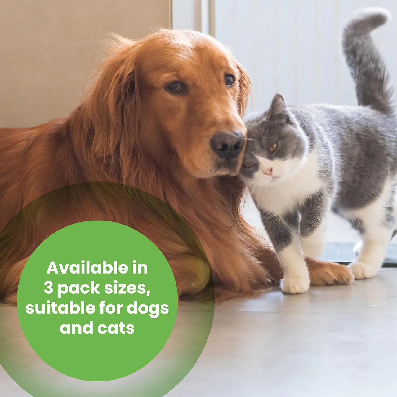 Protexin Pro-Kolin Probiotic Paste for Dog & Cat 60ml - Image 5