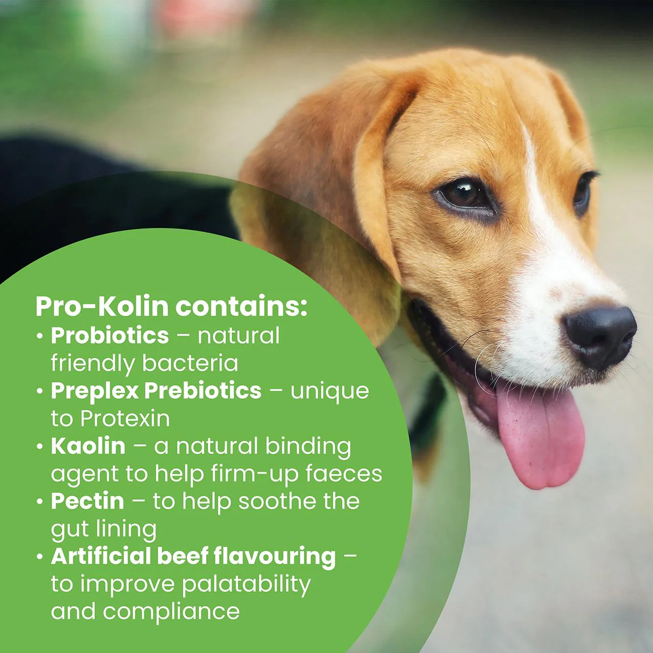 Protexin Pro-Kolin Probiotic Paste for Dog & Cat 60ml - Image 6