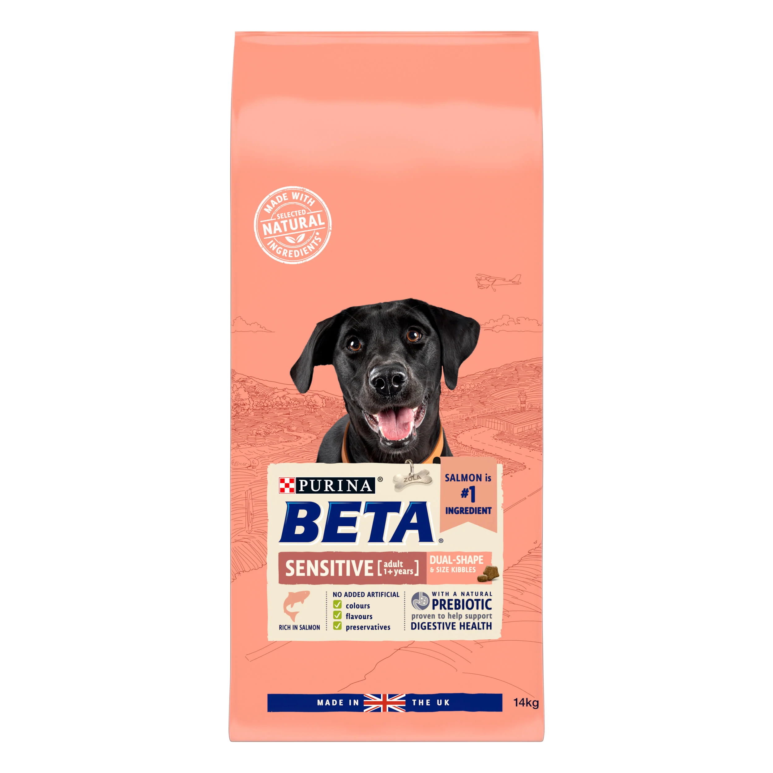 BETA Sensitive Dry Dog Food - Salmon - Image 2