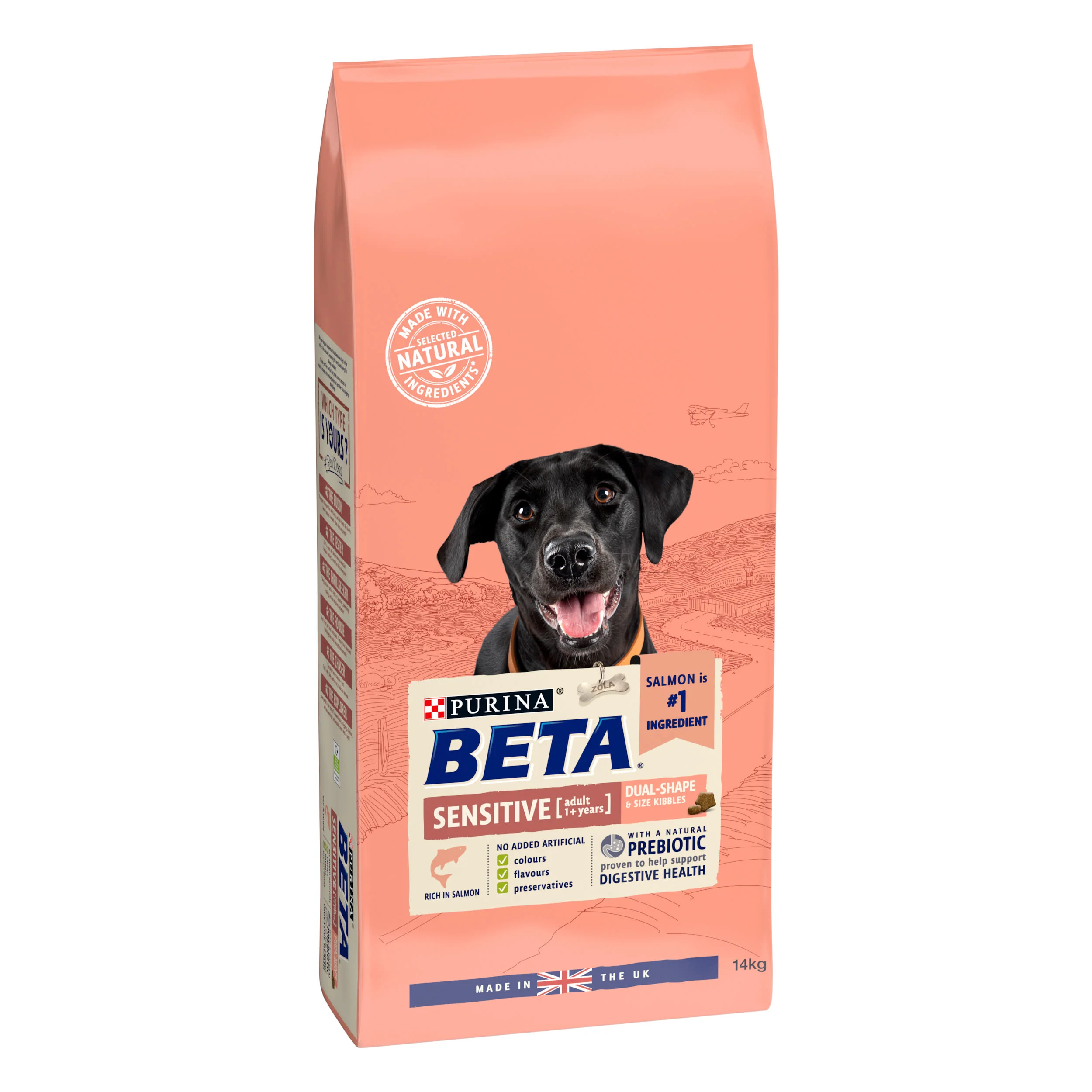 BETA Sensitive Dry Dog Food - Salmon - Image 3