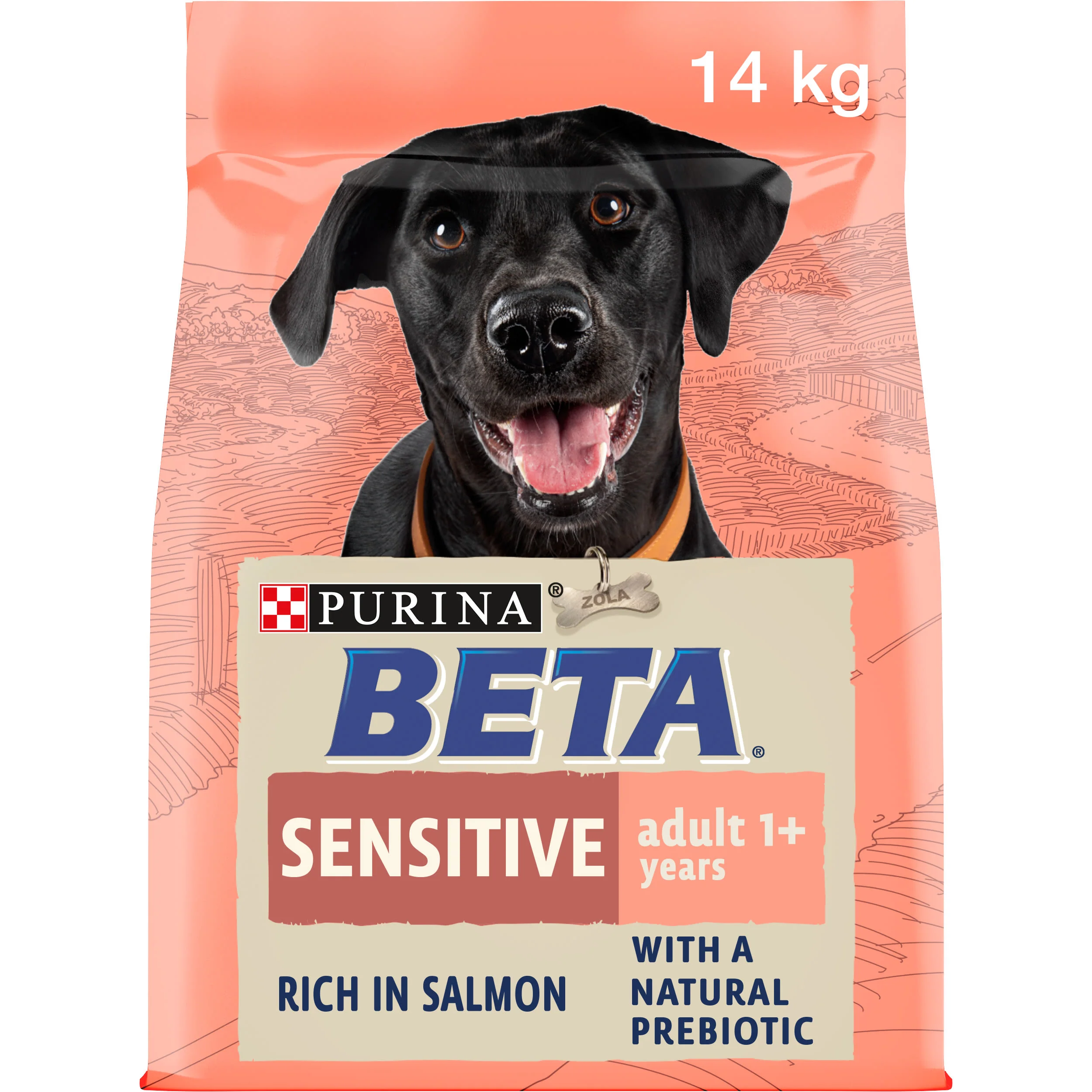 BETA Sensitive Dry Dog Food - Salmon - Image 4