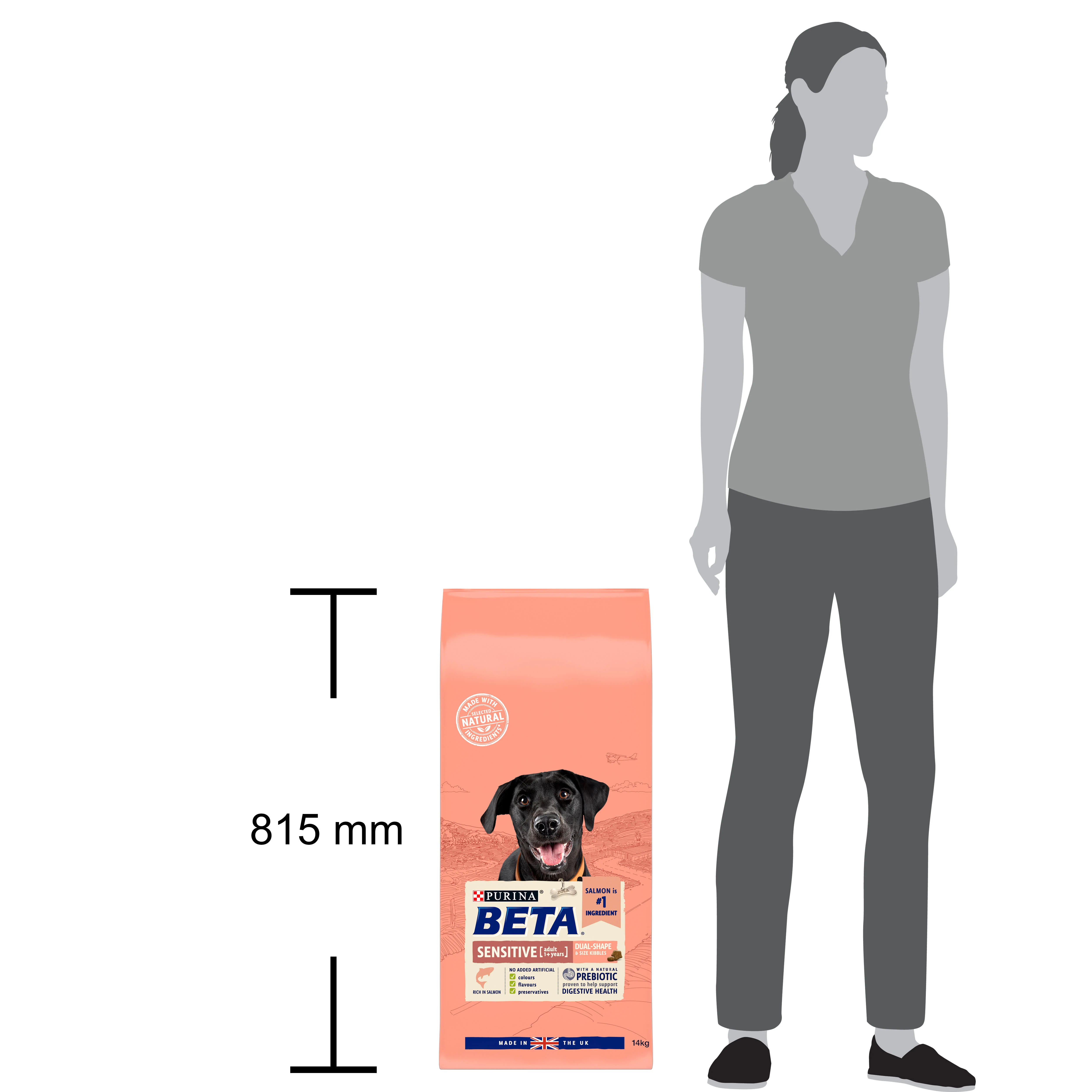 BETA Sensitive Dry Dog Food - Salmon - Image 8