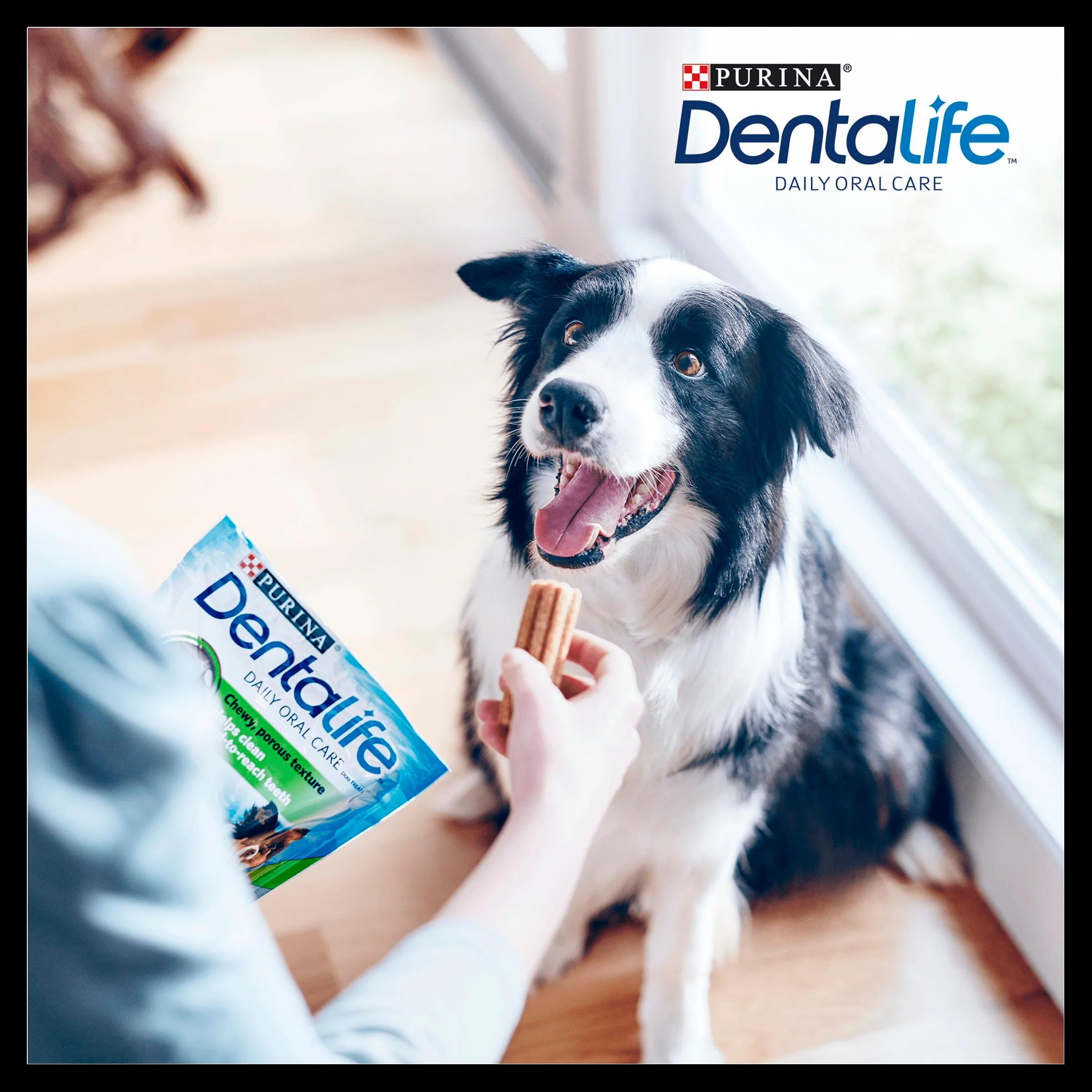 Purina Dentalife Daily Medium Dog Chews Treat - Image 16