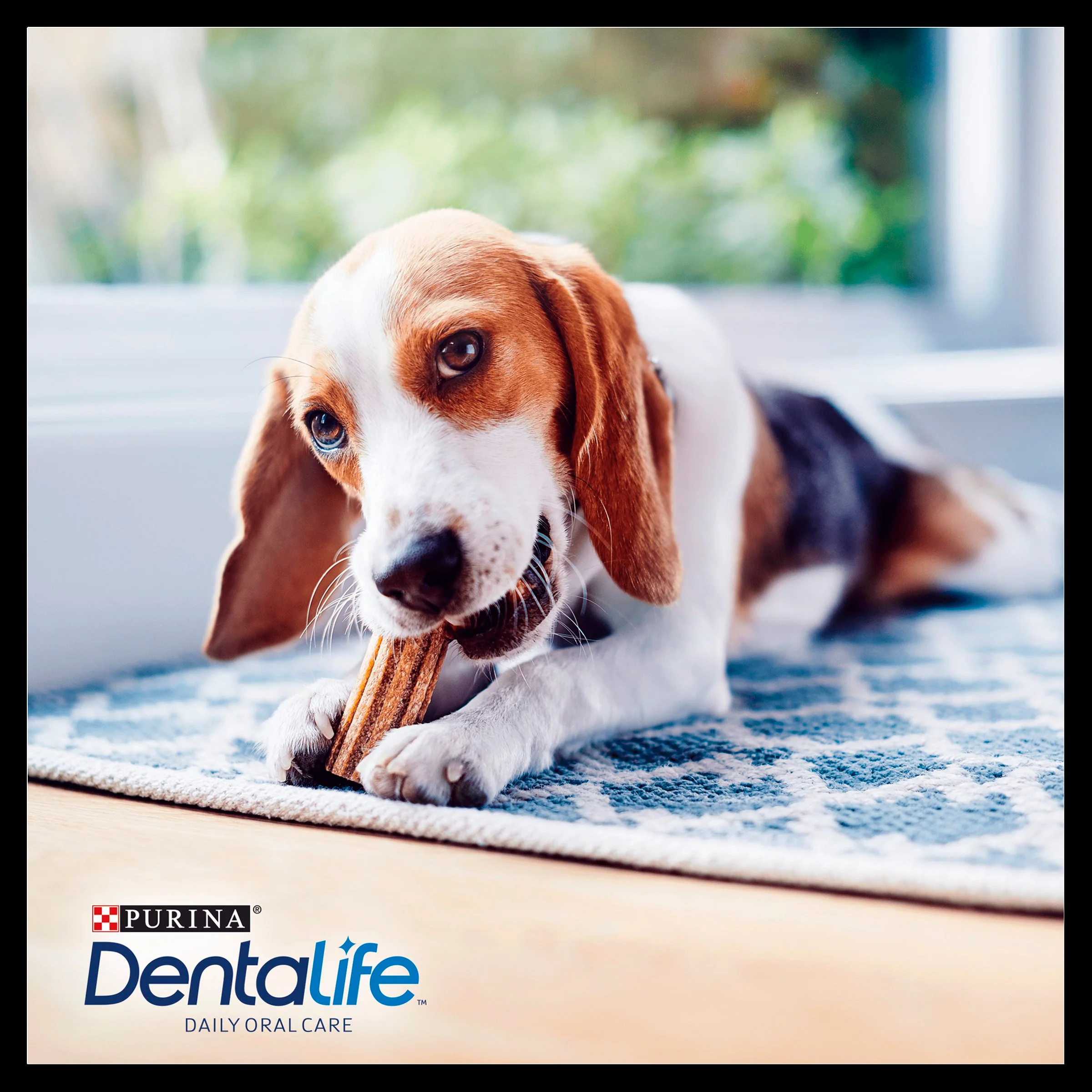 Purina Dentalife Daily Small Dog Chews Treat - Image 5