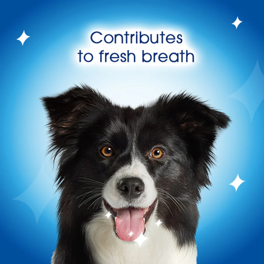 Purina Dentalife Large Adult Dog Daily Chew Treat - Image 5