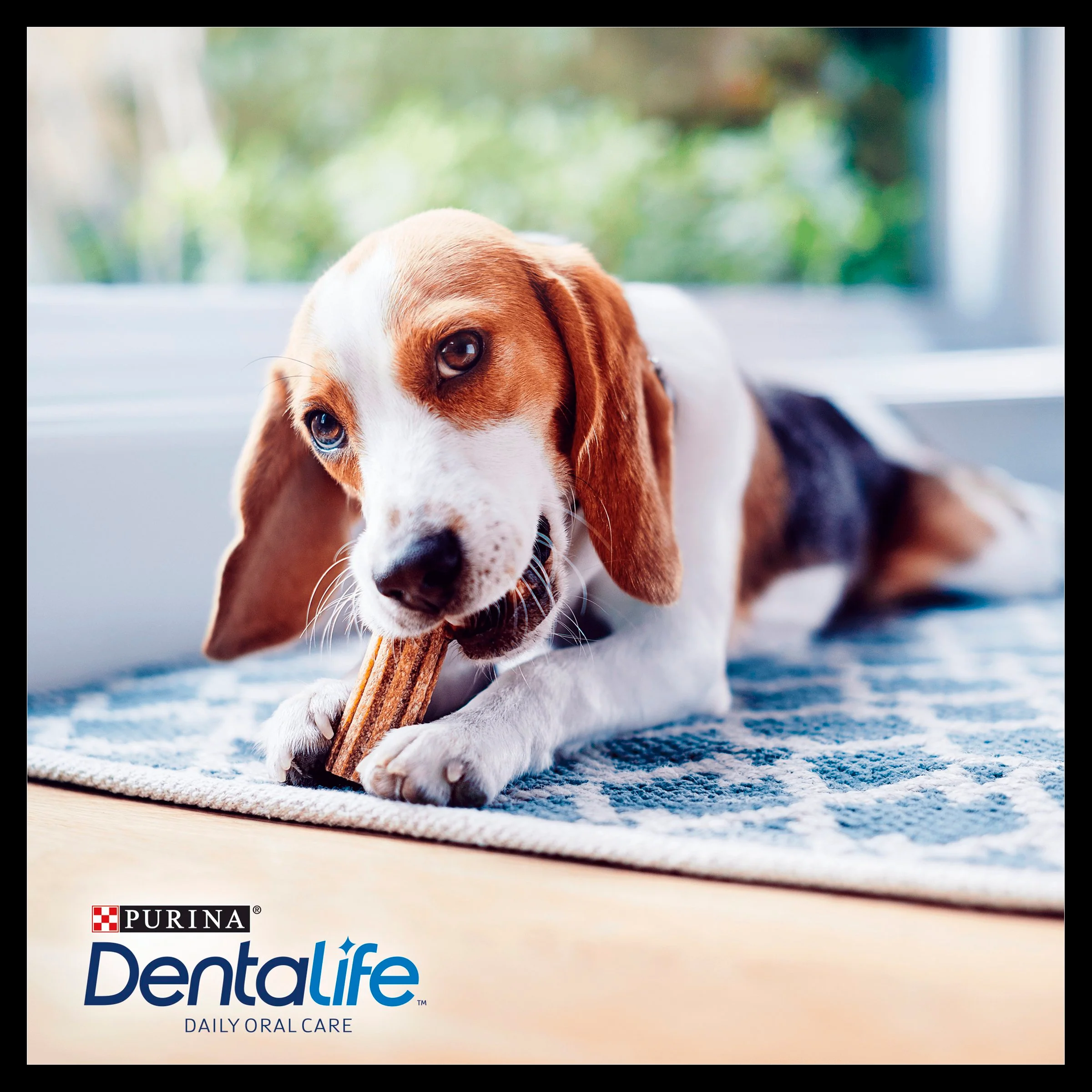 Purina Dentalife Small Adult Dog Chew Treat - Image 8