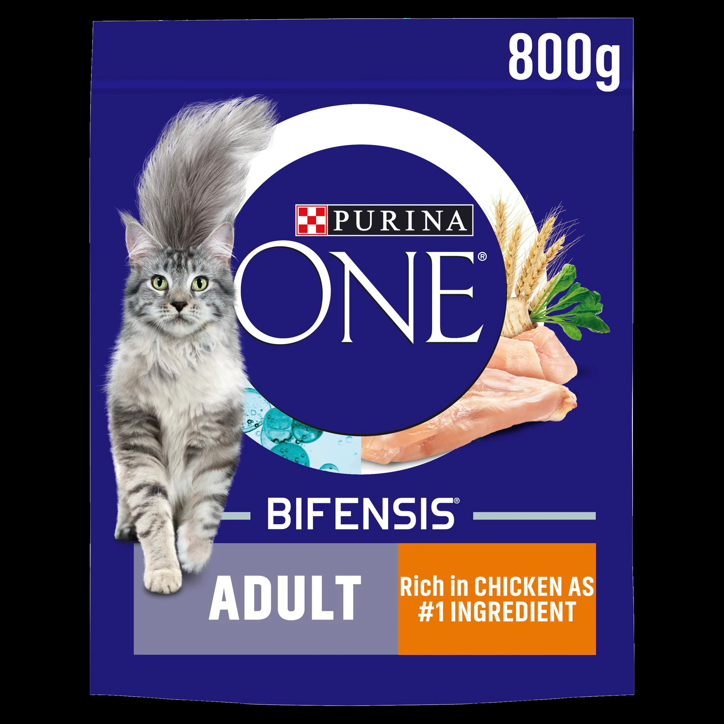 Purina ONE Adult Dry Cat Food - Chicken & Whole Grains - Image 3