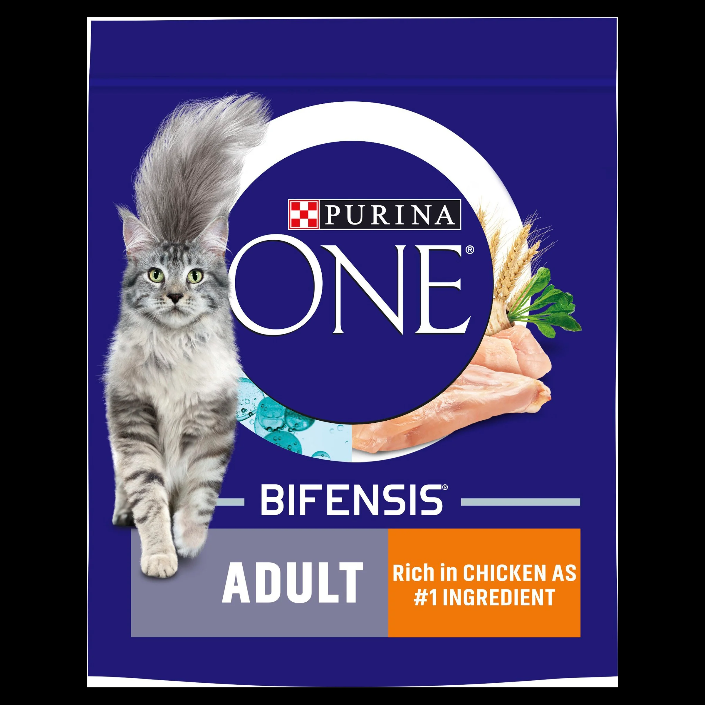 Purina ONE Adult Dry Cat Food - Chicken & Whole Grains - Image 4