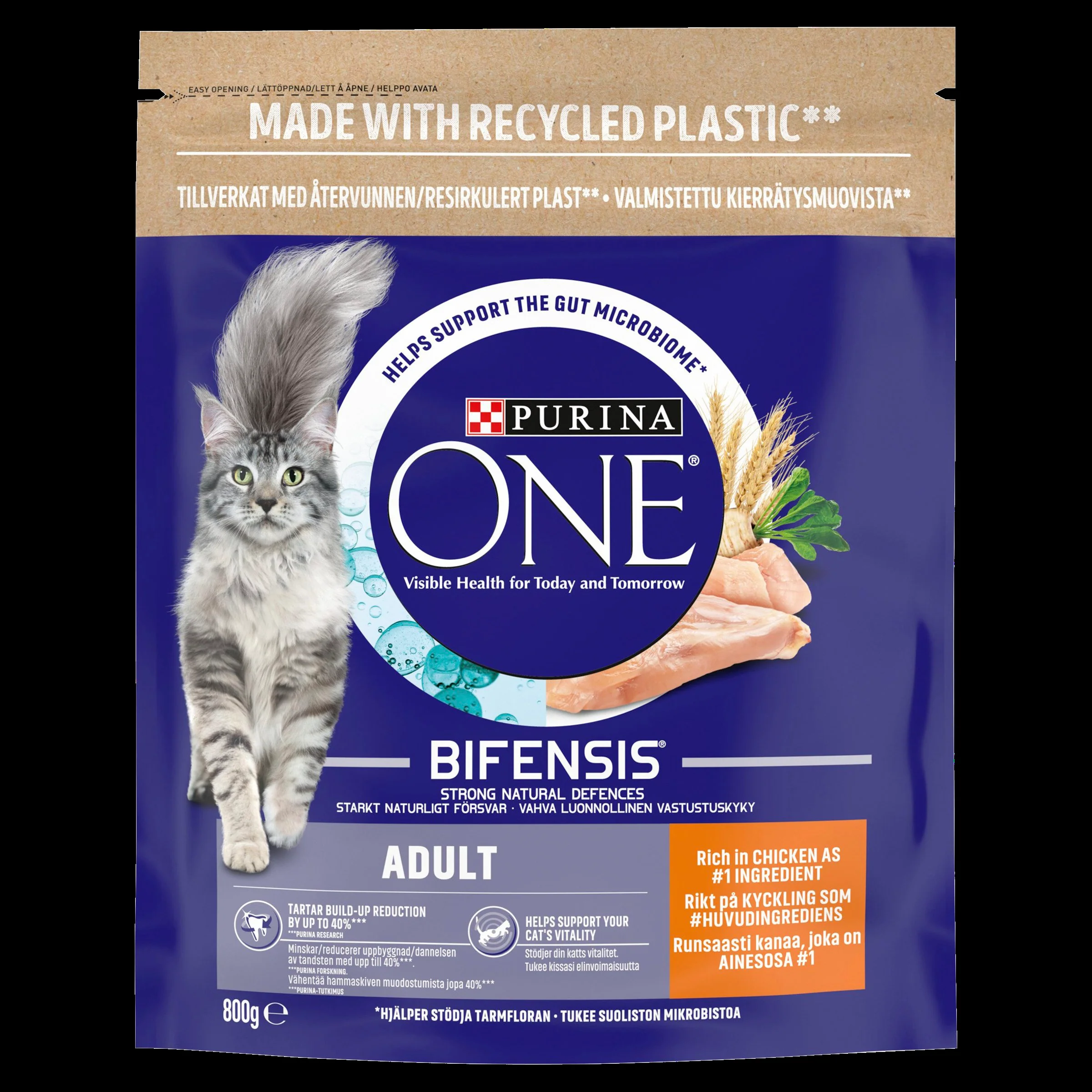 Purina ONE Adult Dry Cat Food - Chicken & Whole Grains - Image 6