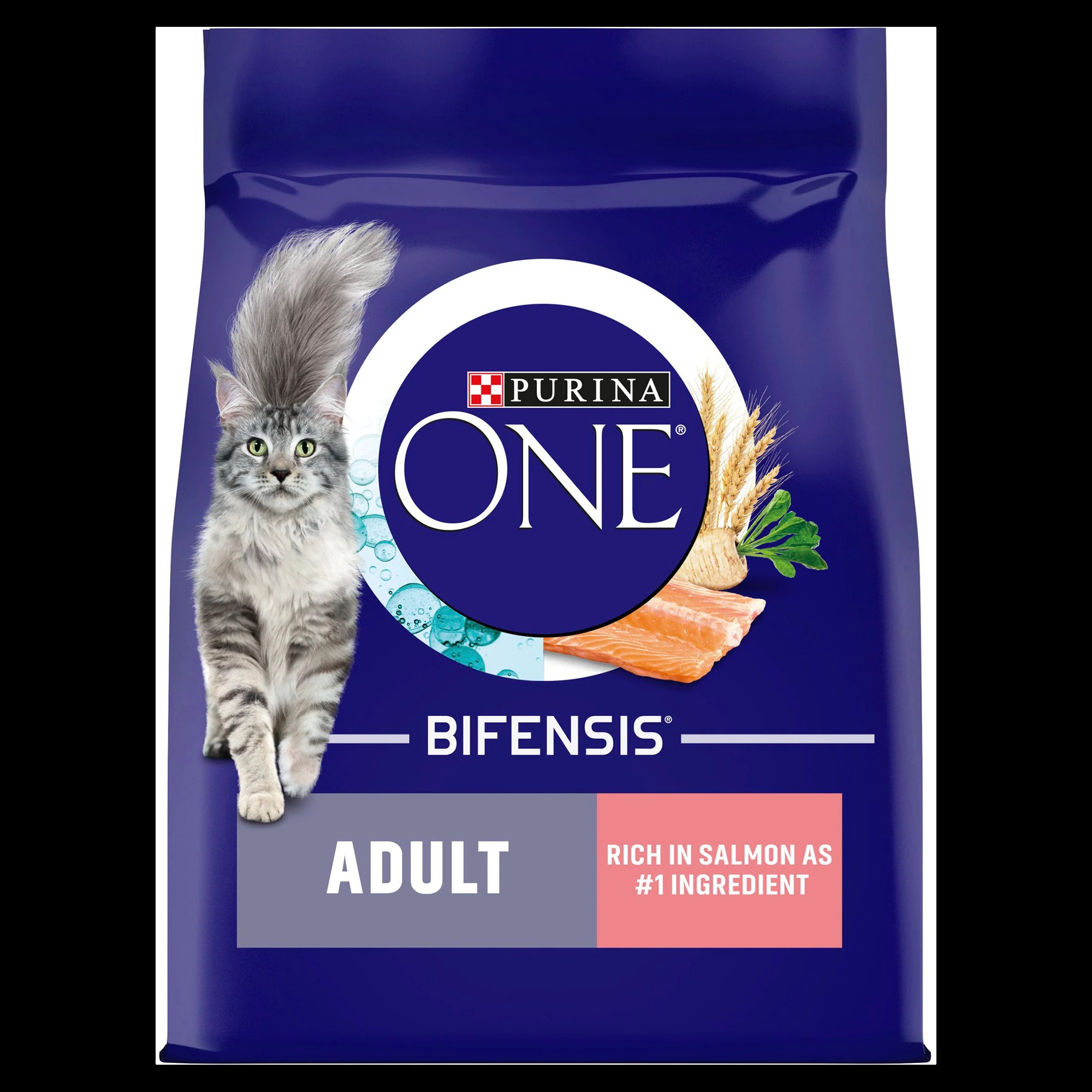 Purina ONE Adult Dry Cat Food - Salmon & Whole Grains - Image 3