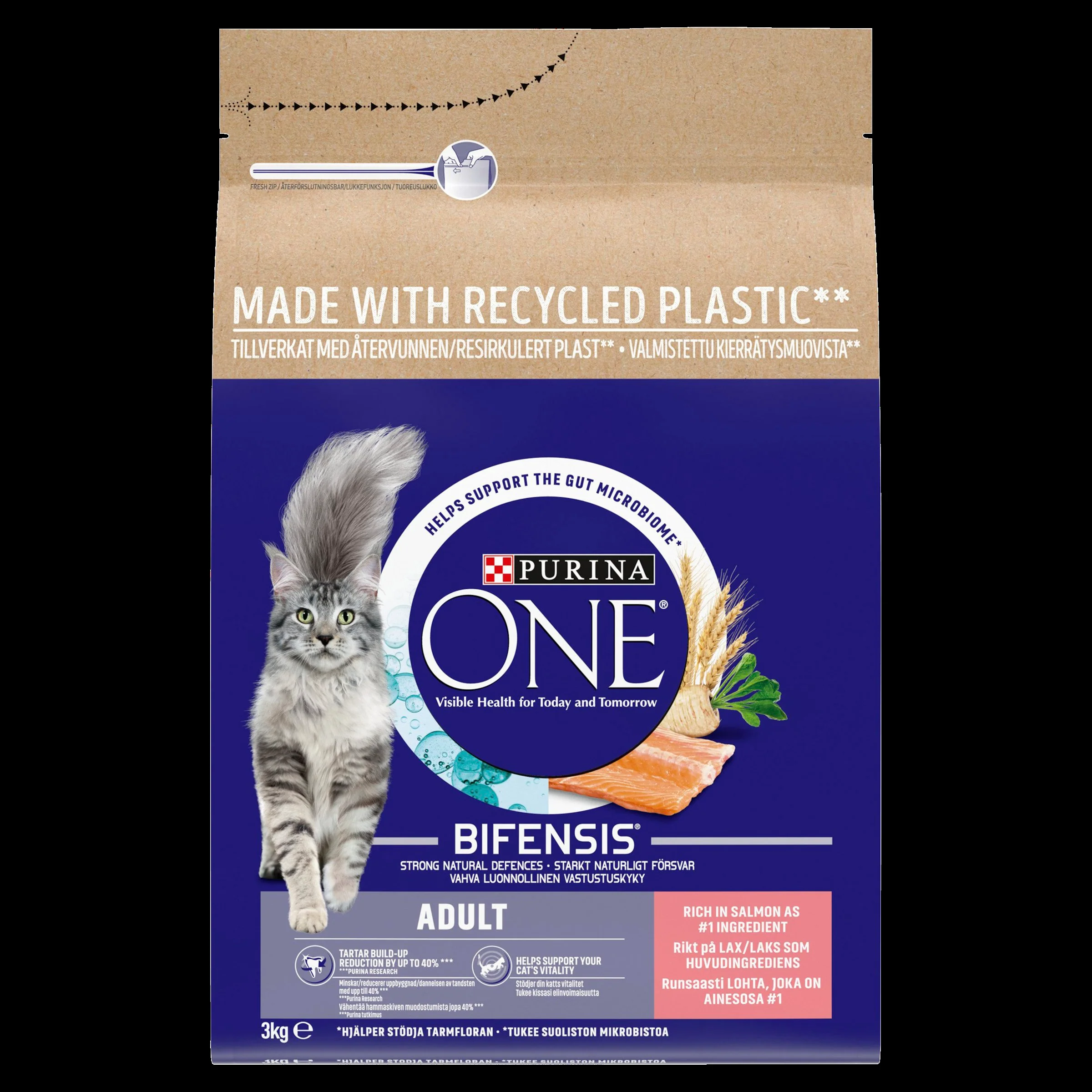 Purina ONE Adult Dry Cat Food - Salmon & Whole Grains - Image 4