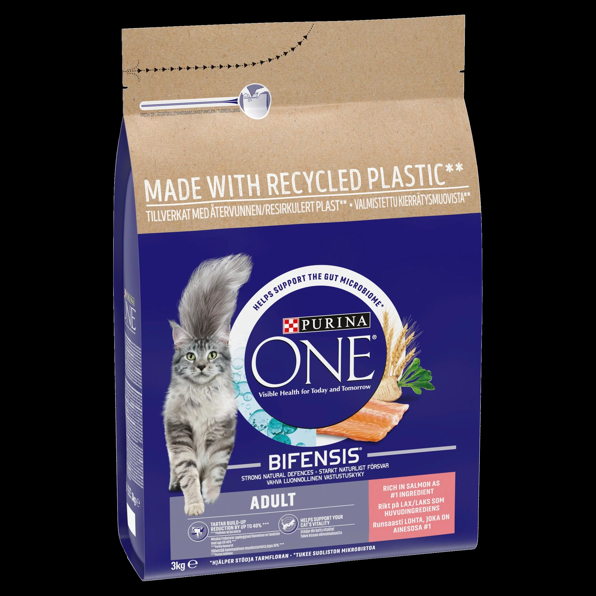 Purina ONE Adult Dry Cat Food - Salmon & Whole Grains - Image 5