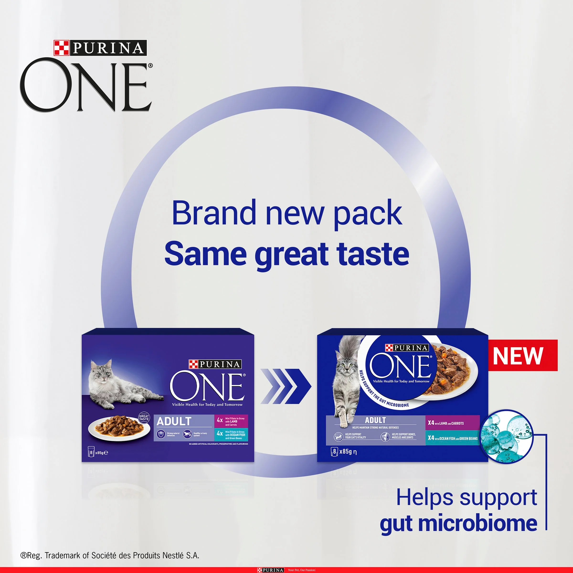 Purina ONE Adult Mini Fillets Wet Cat Food - Ocean Fish & Lamb with Carrots - Image 4