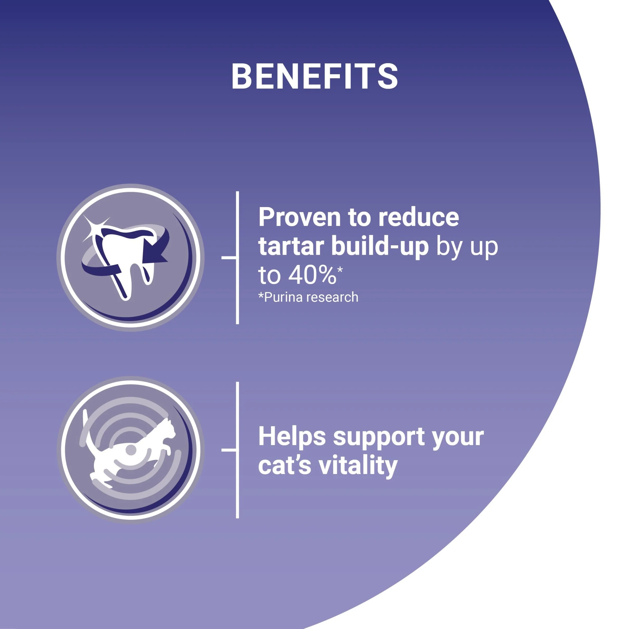 Purina One Bifensis Salmon Dry Cat Food - Image 7