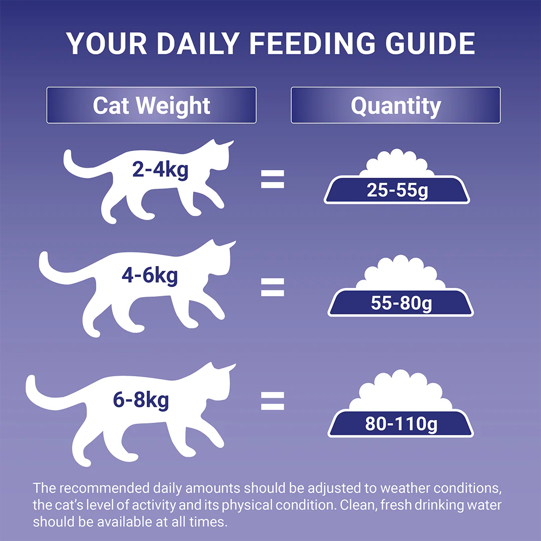 Purina One Indoor Adult Dry Cat Food Rich in Turkey - Image 6