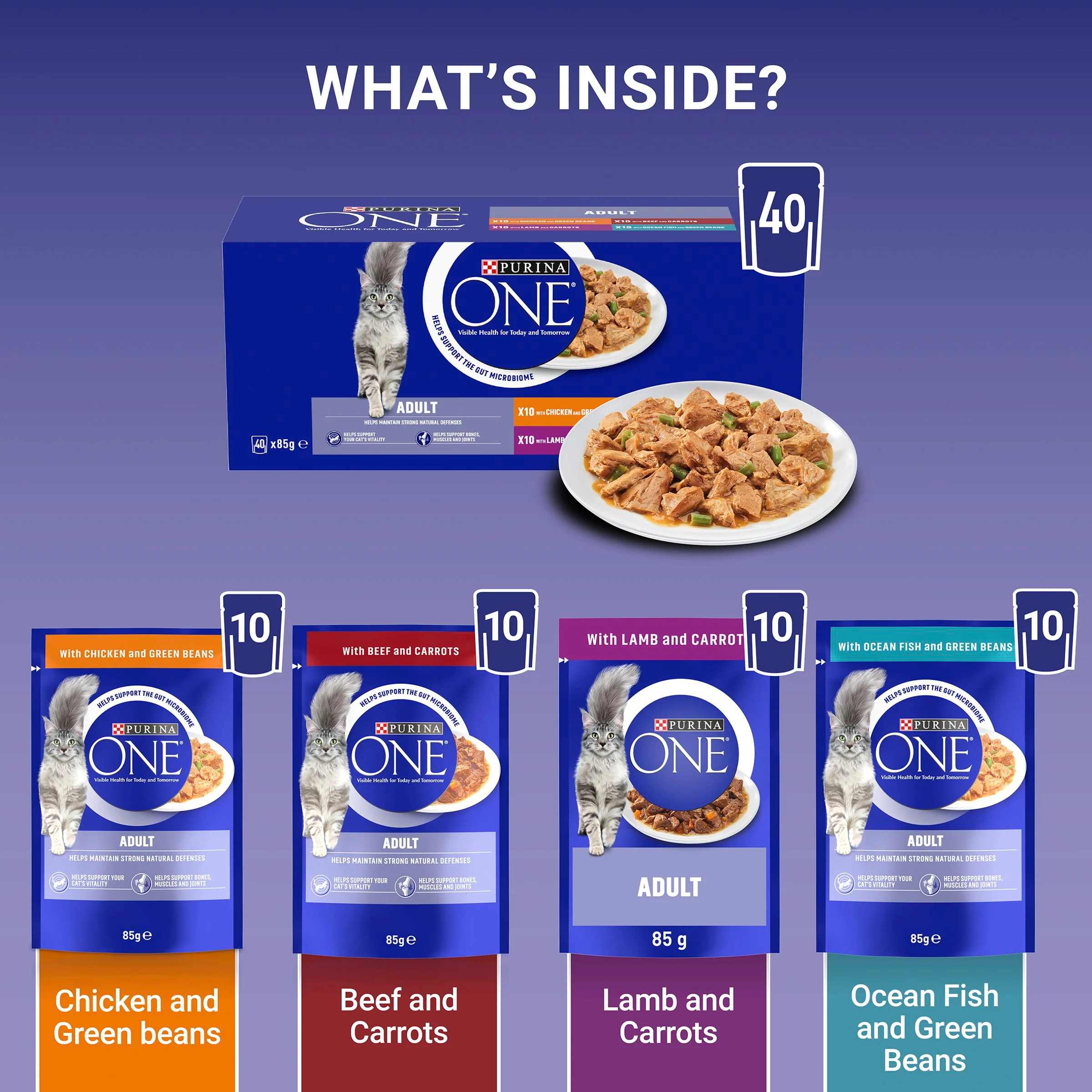 Purina One Mini Fillets Mixed Selection in Gravy Wet Cat Food - Image 3
