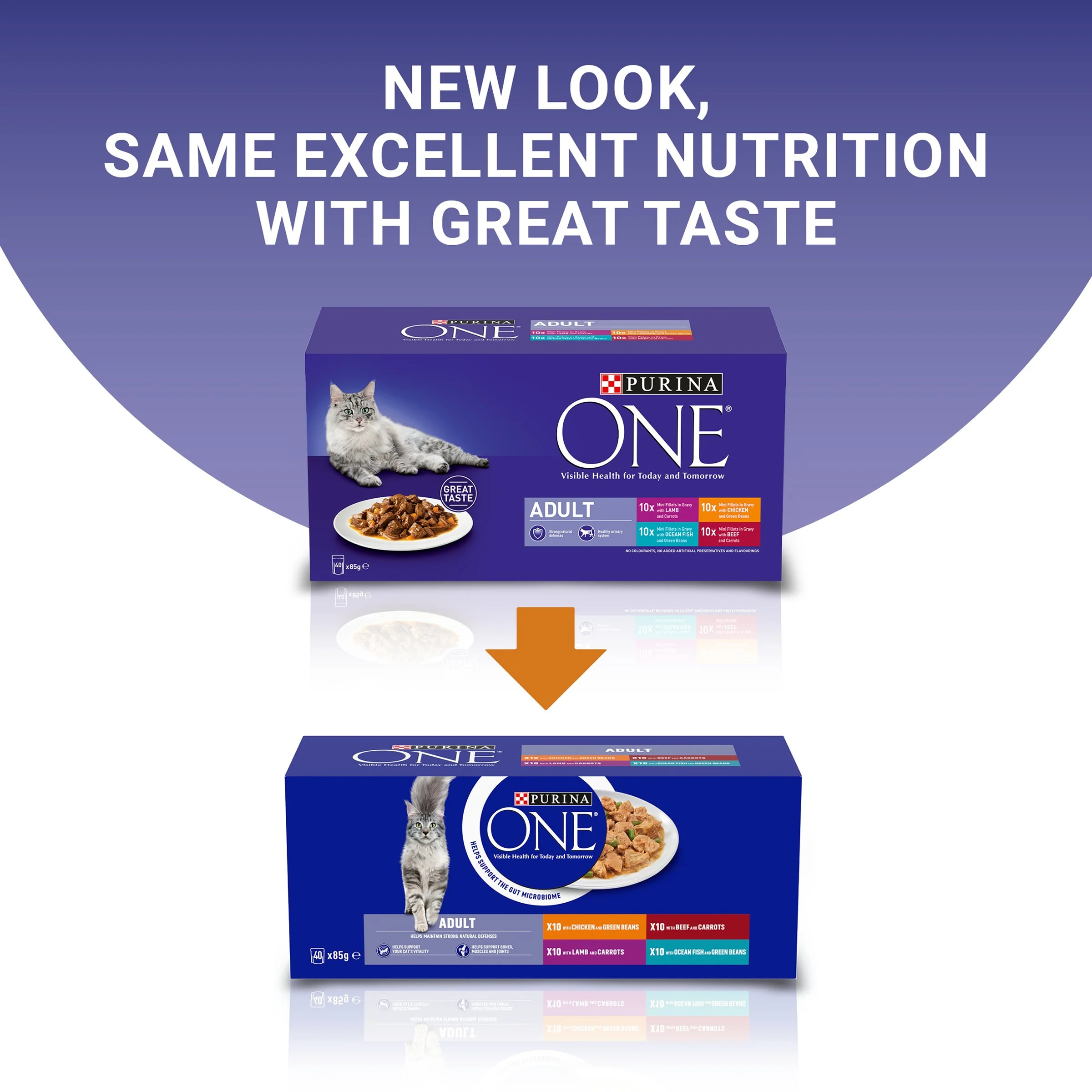 Purina One Mini Fillets Mixed Selection in Gravy Wet Cat Food - Image 5