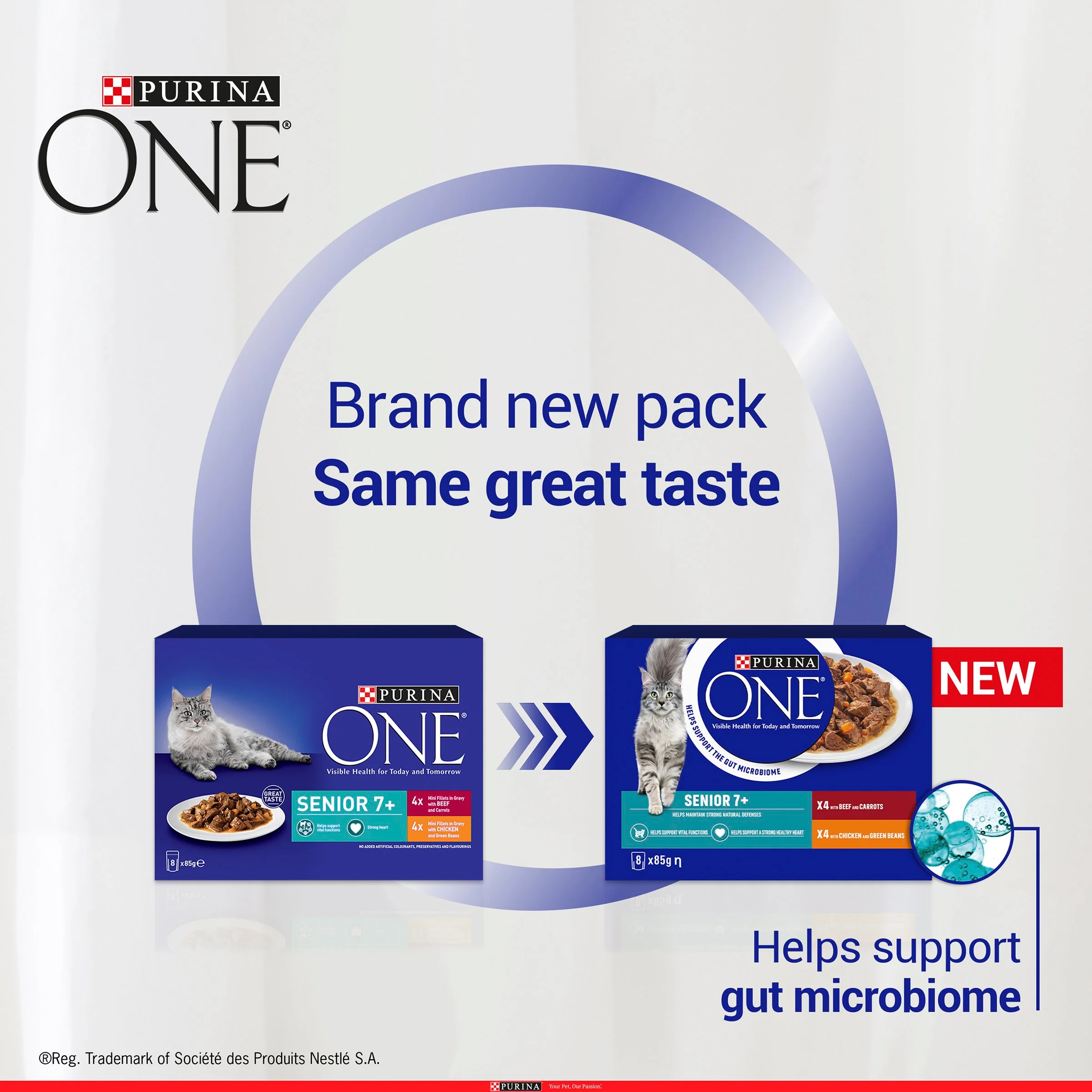 Purina ONE Senior 7+ Mini Fillets Wet Cat Food - Chicken & Beef - Image 4