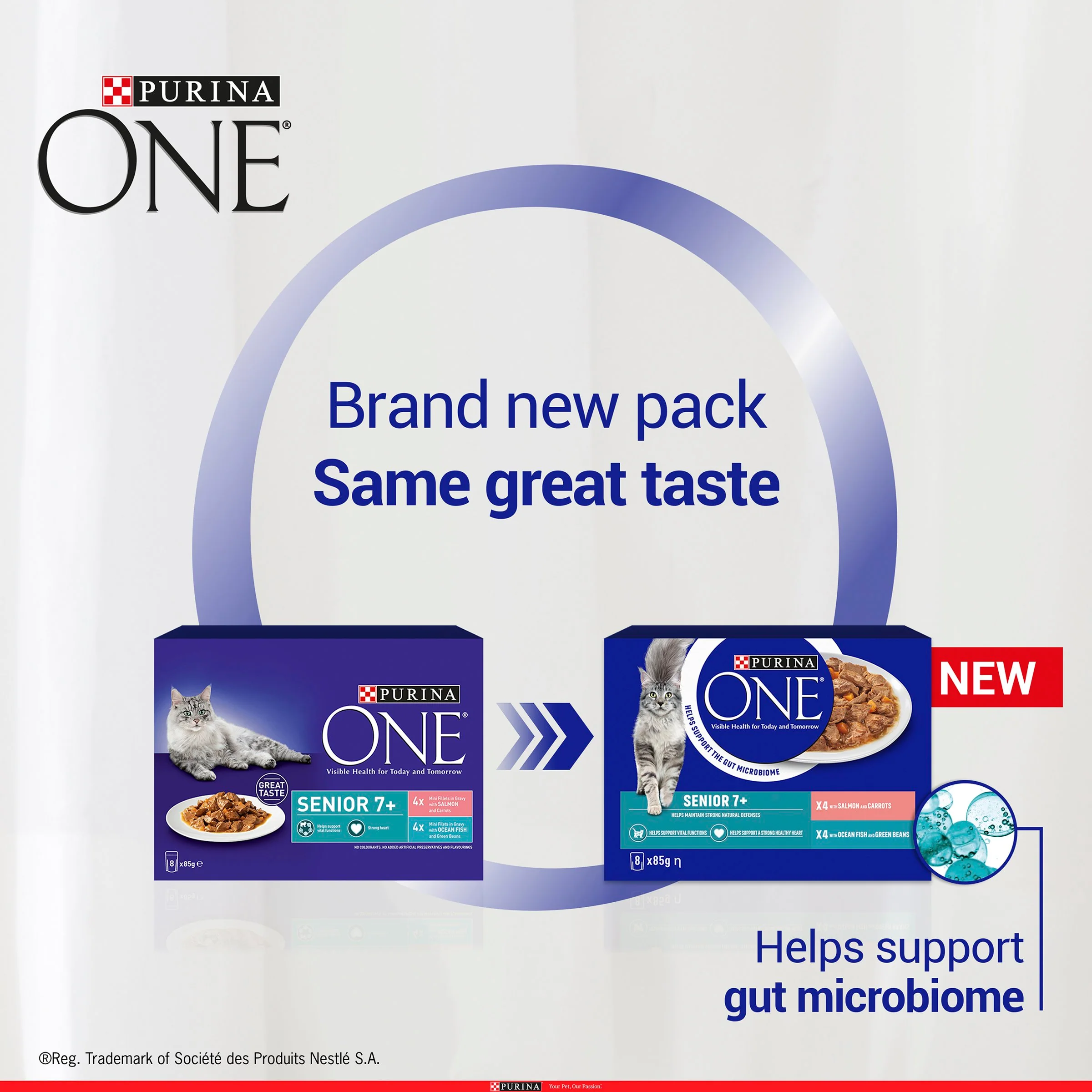 Purina One Senior 7+ Wet Cat Food - Salmon & Ocean Fish - Image 4
