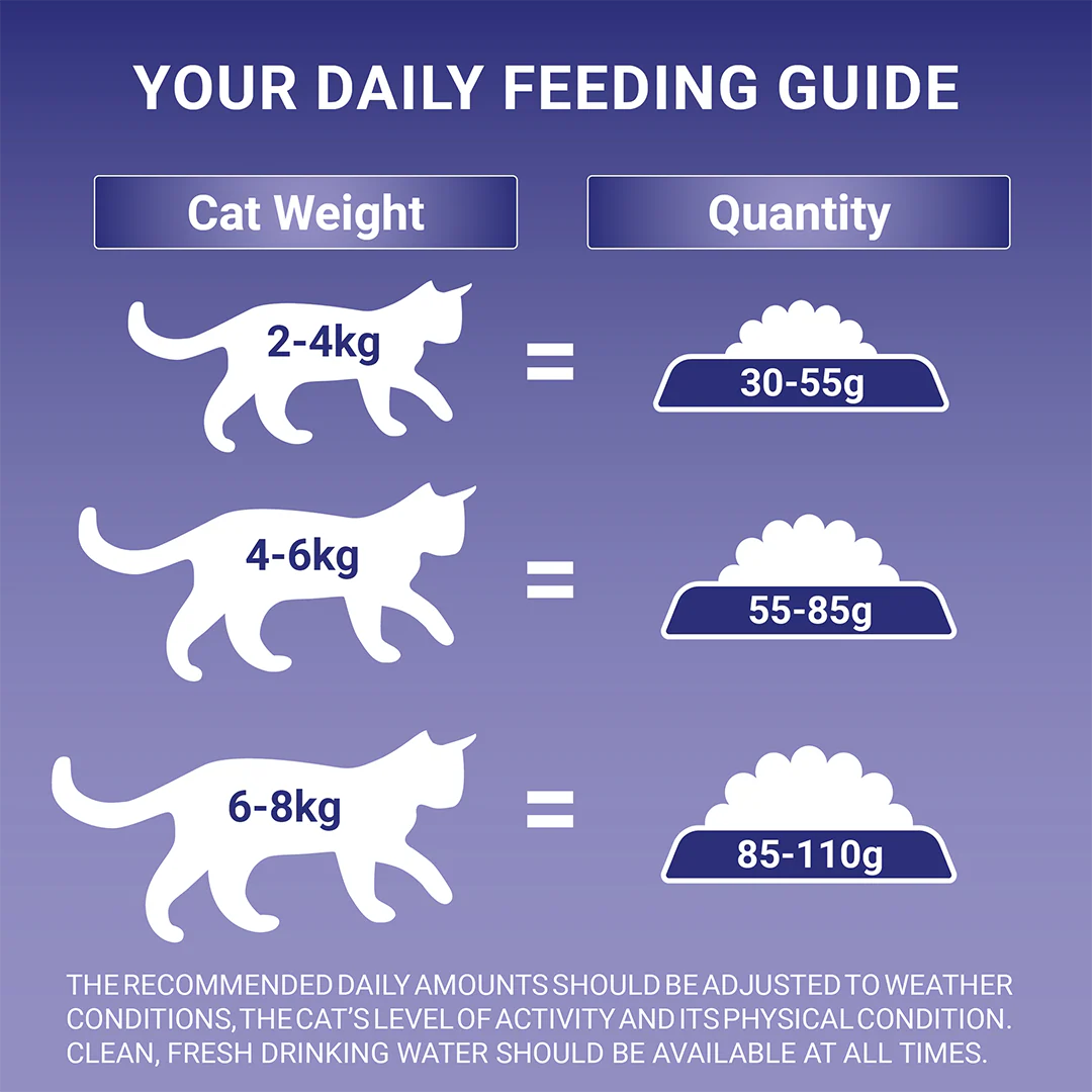 Purina One Sensitive Dry Cat Food Rich in Turkey - Image 10