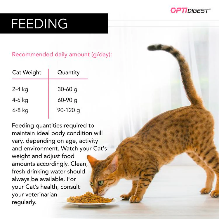 Purina Pro Plan Adult Cat Optidigest - Turkey & Rice - Image 7