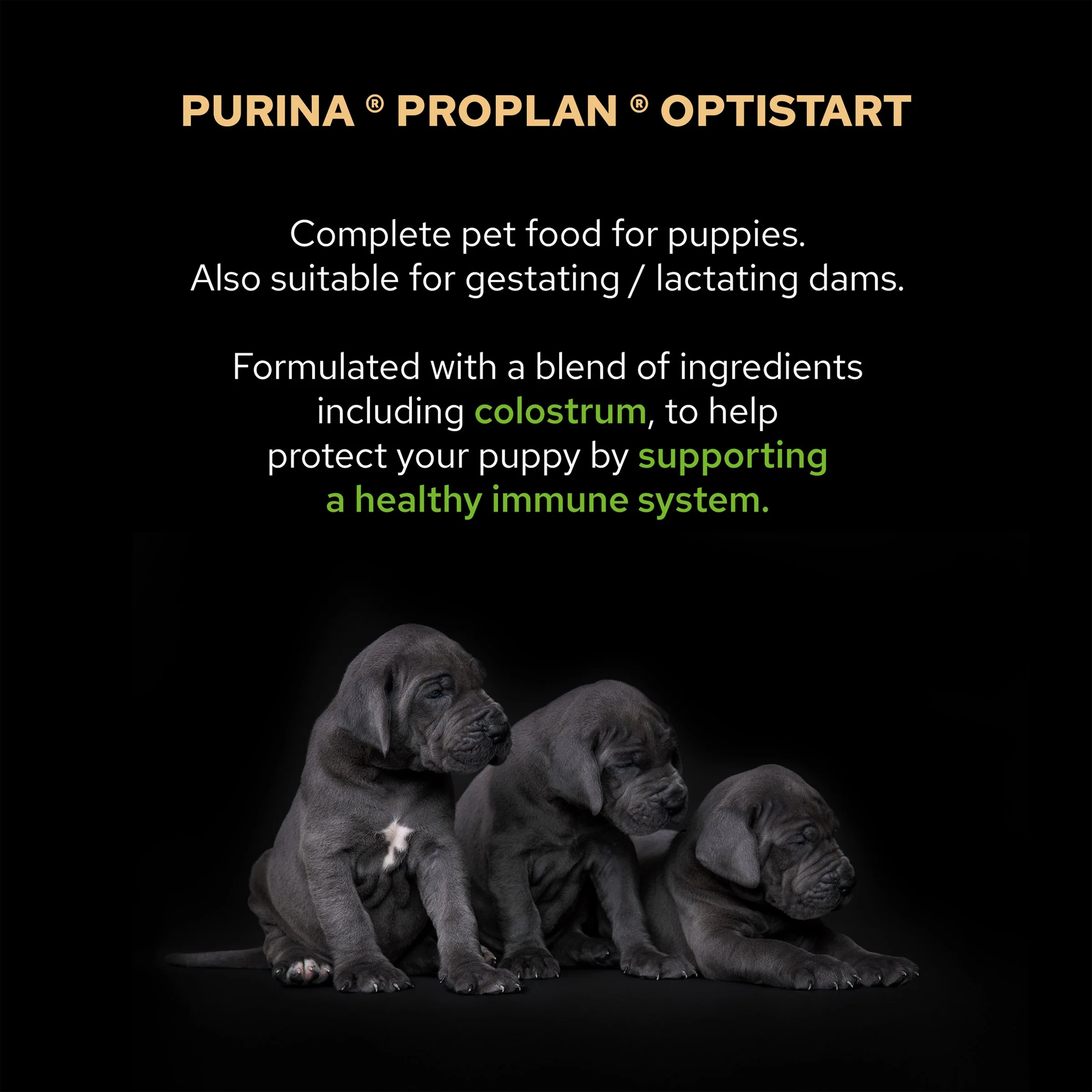 Purina Pro Plan Croquette Robust Large Puppy Dry Dog Food - Chicken & Rice - Image 8