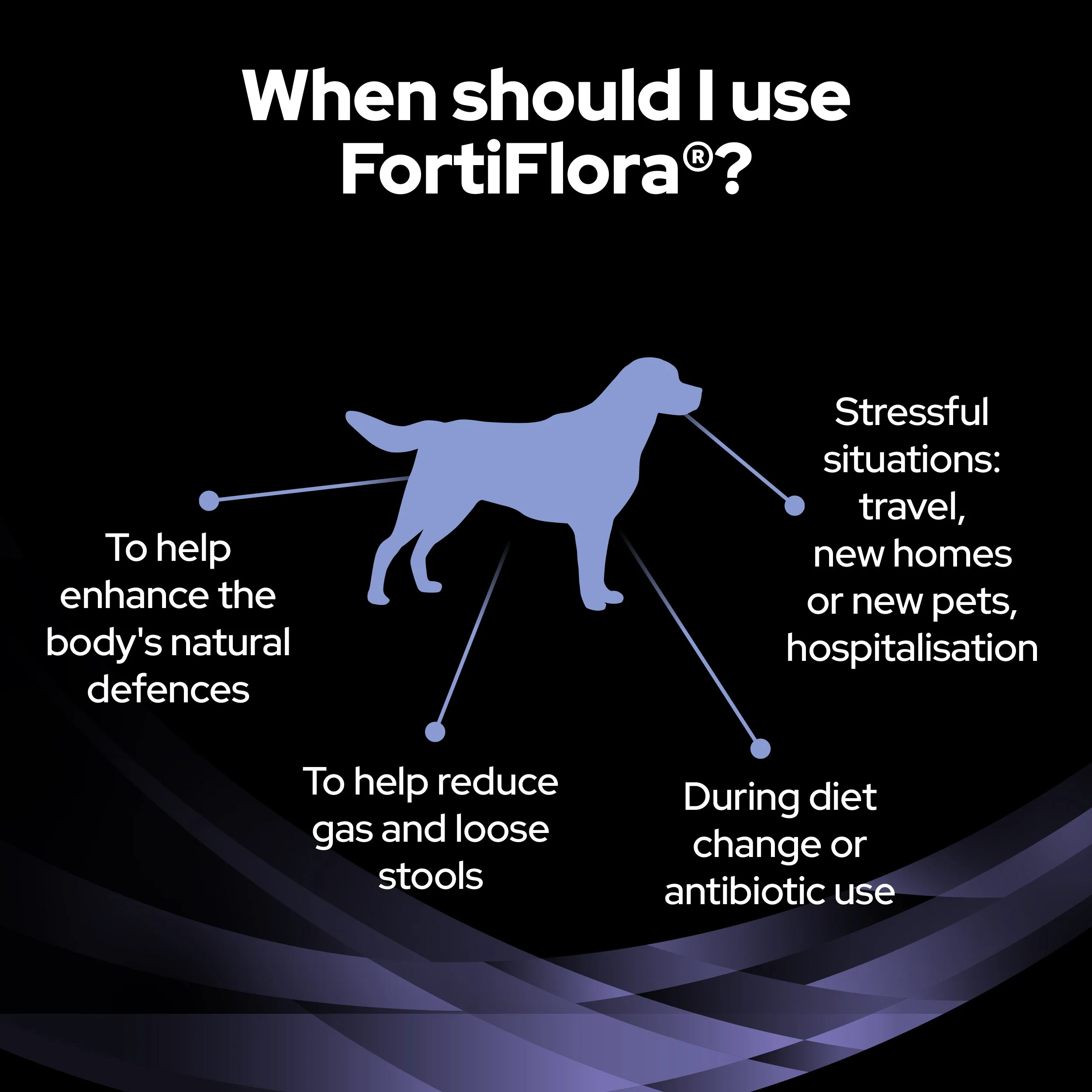Purina Pro Plan FortiFlora Dog Probiotic Sachet - Image 8