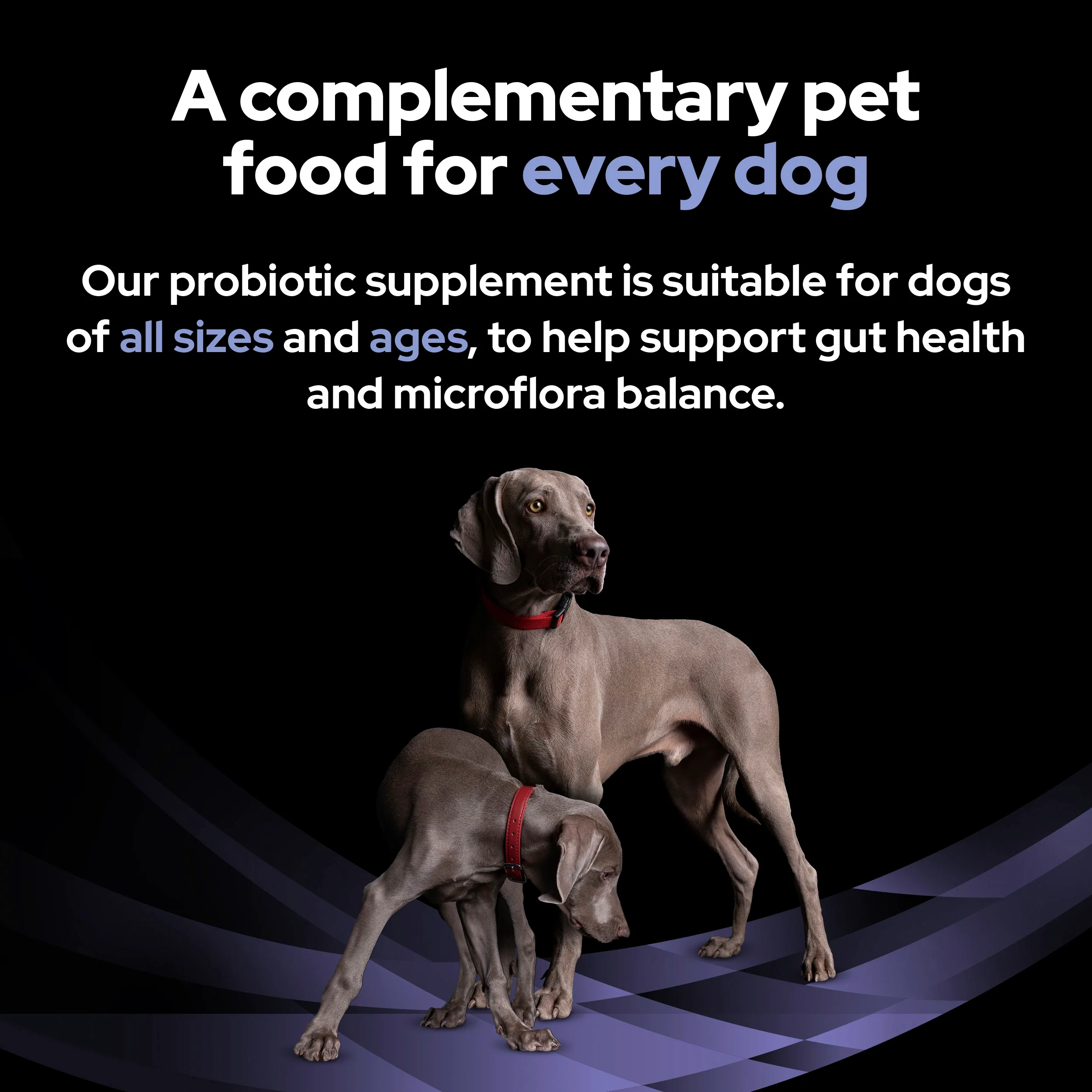 Purina Pro Plan FortiFlora Dog Probiotic Sachet - Image 9
