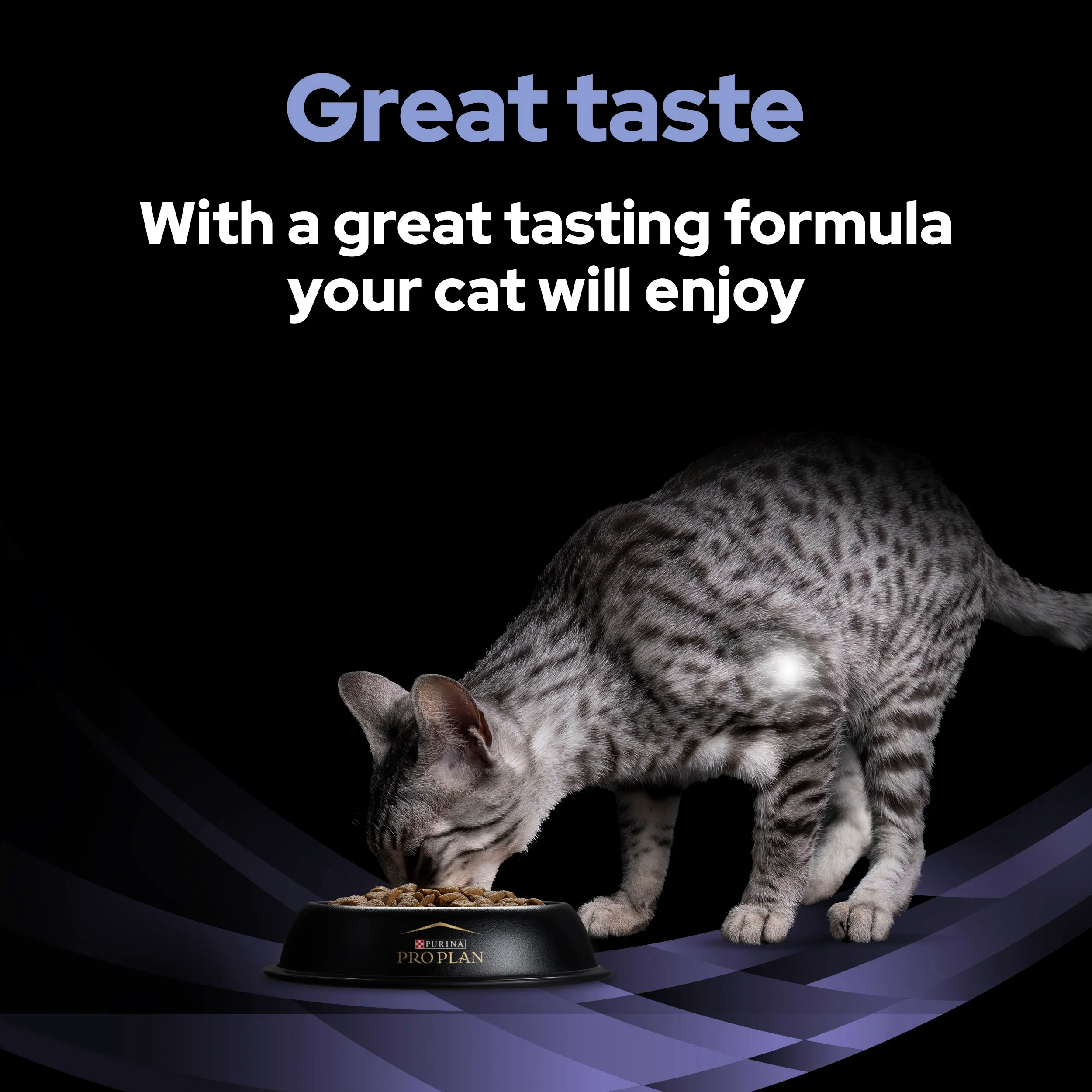 Pro Plan FortiFlora Probiotic Complement Cat Food - Image 10