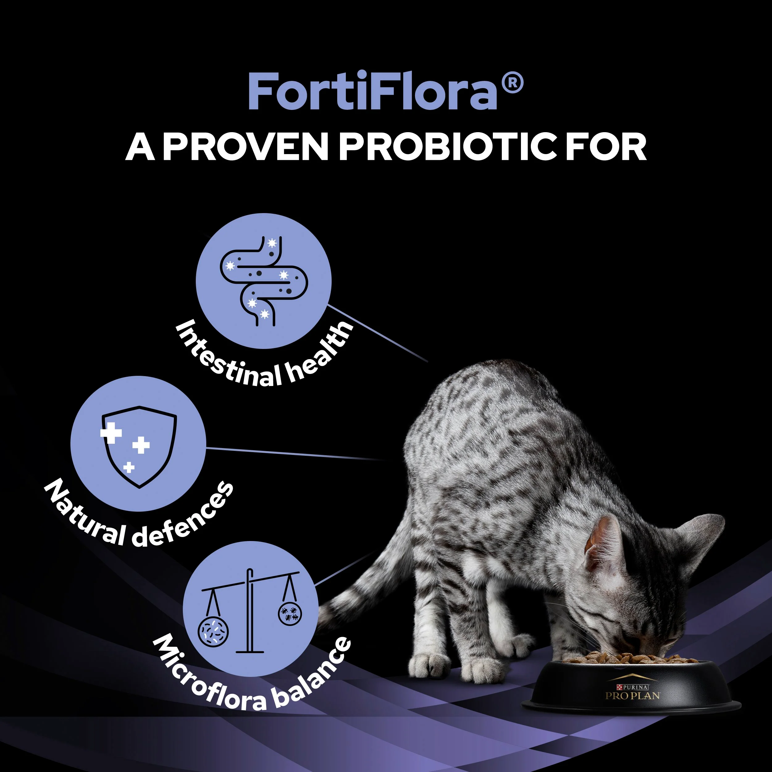 Pro Plan FortiFlora Probiotic Complement Cat Food - Image 4