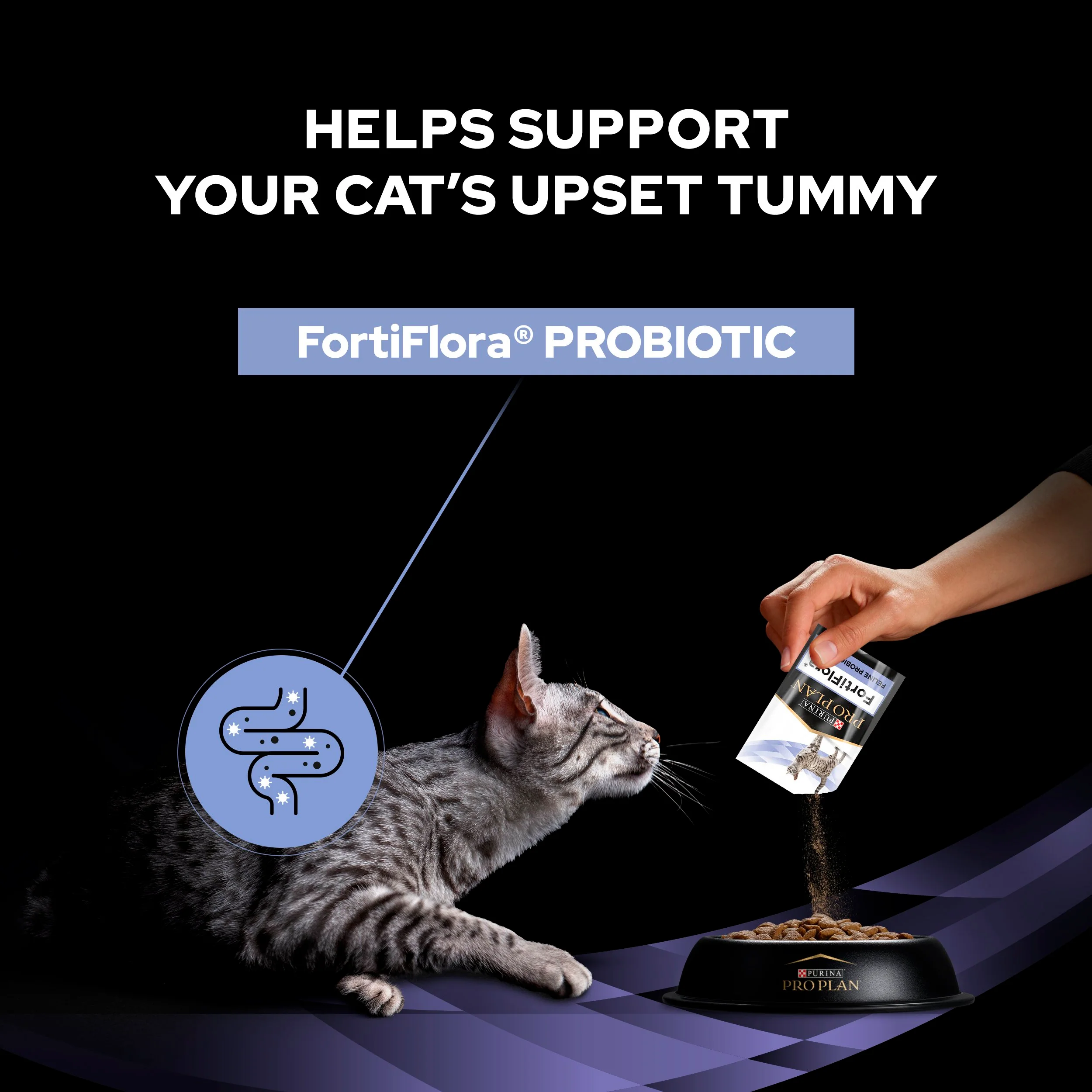 Pro Plan FortiFlora Probiotic Complement Cat Food - Image 5