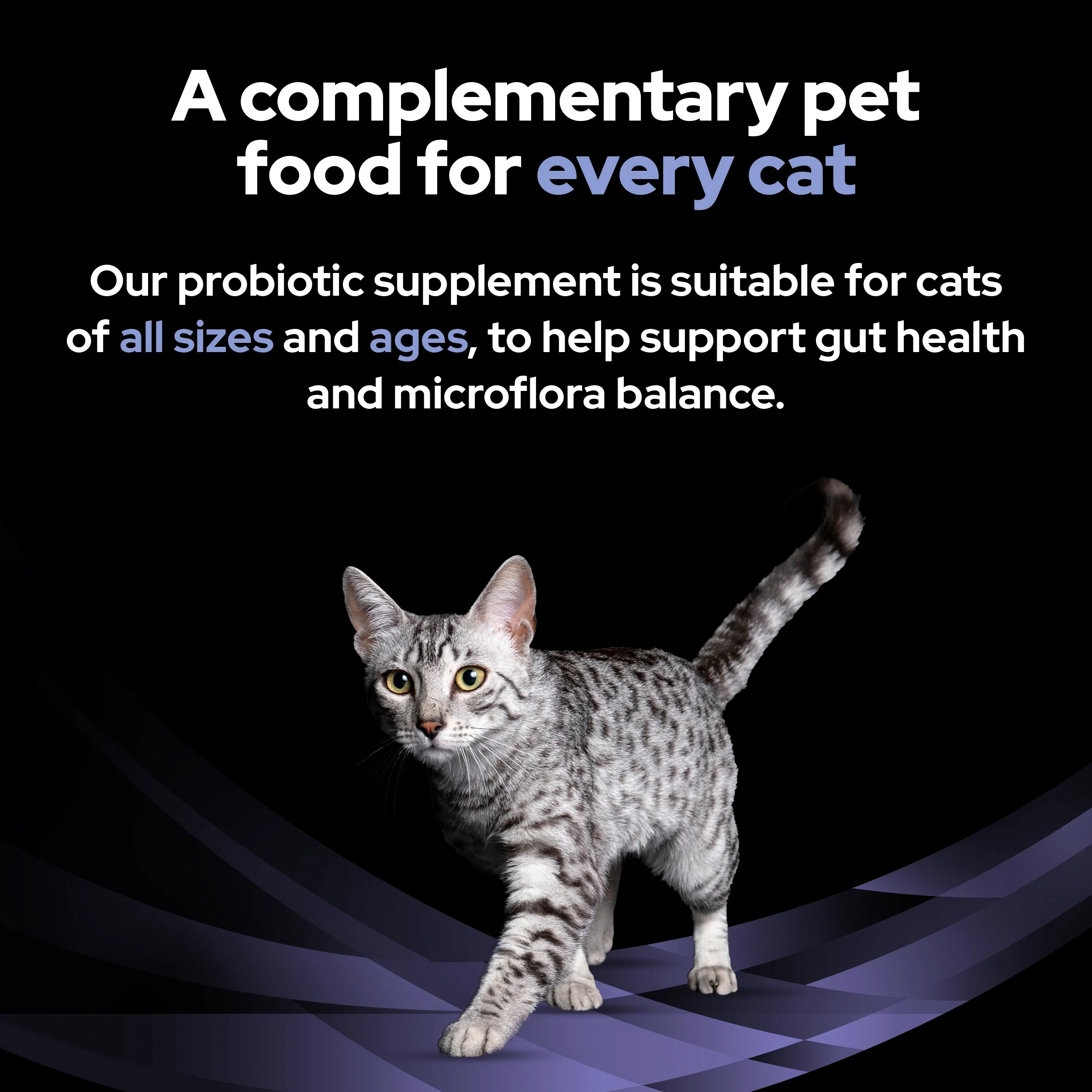 Pro Plan FortiFlora Probiotic Complement Cat Food - Image 9