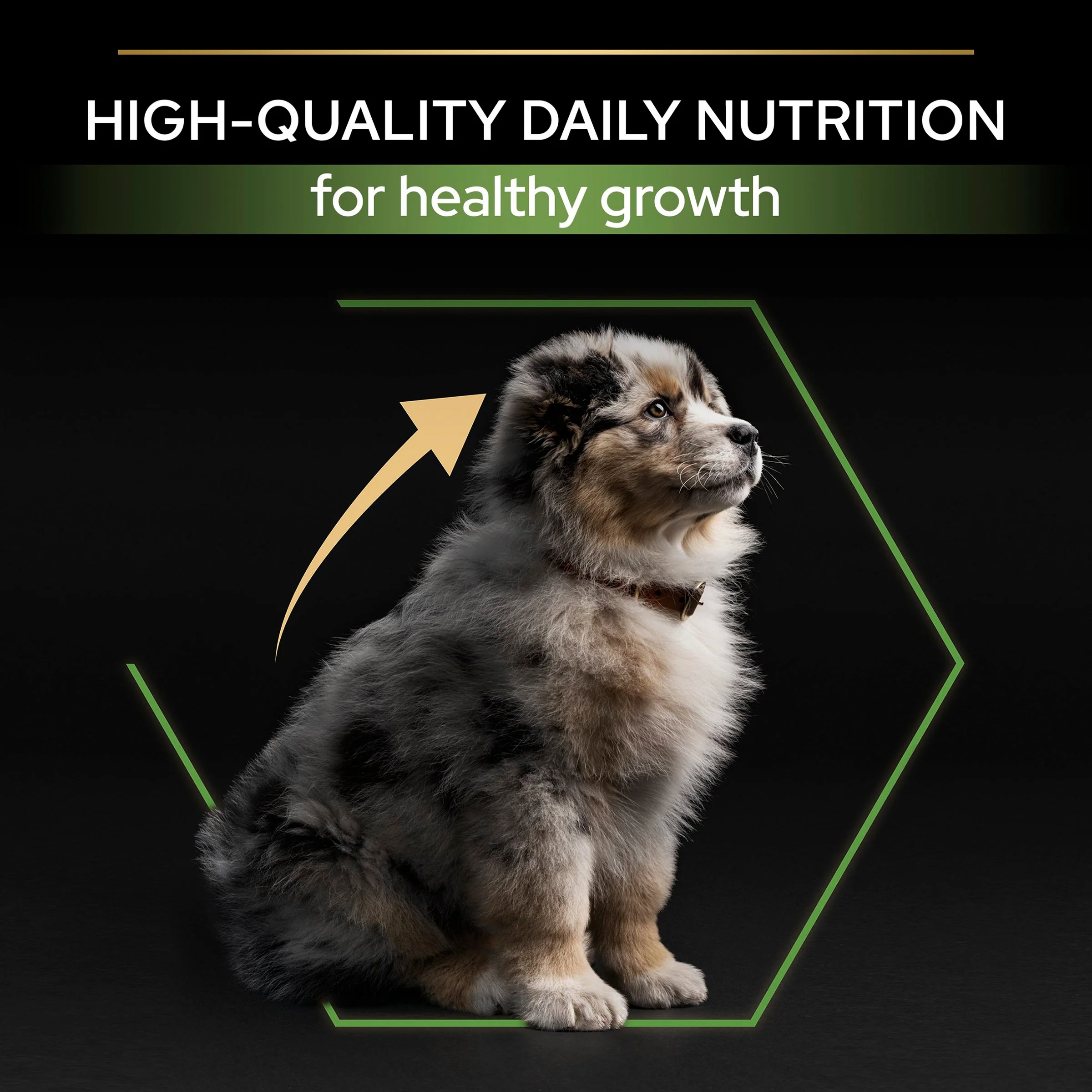 Purina Pro Plan Healthy Start Medium Puppy Dry Dog Food - Chicken - Image 8