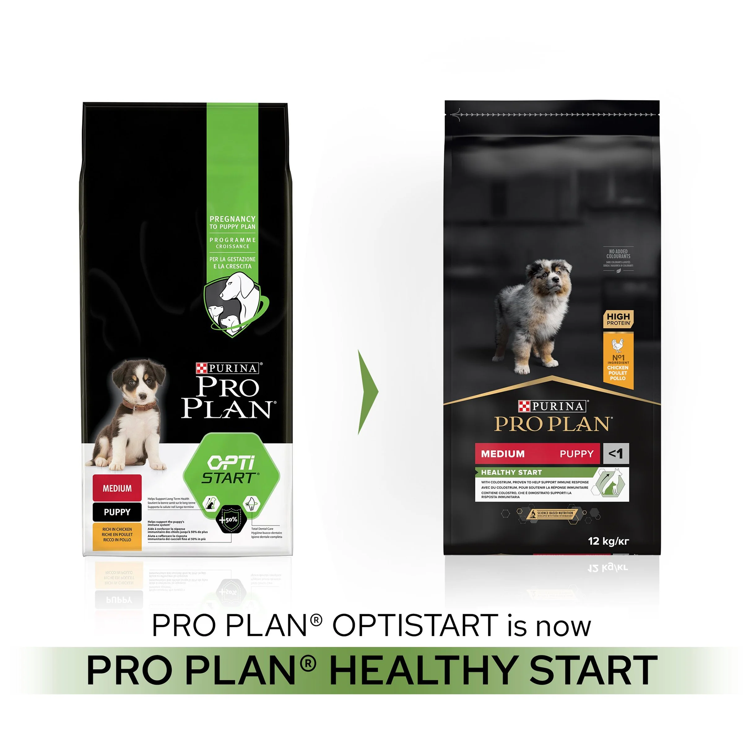 Purina Pro Plan Healthy Start Medium Puppy Dry Dog Food - Chicken - Image 9