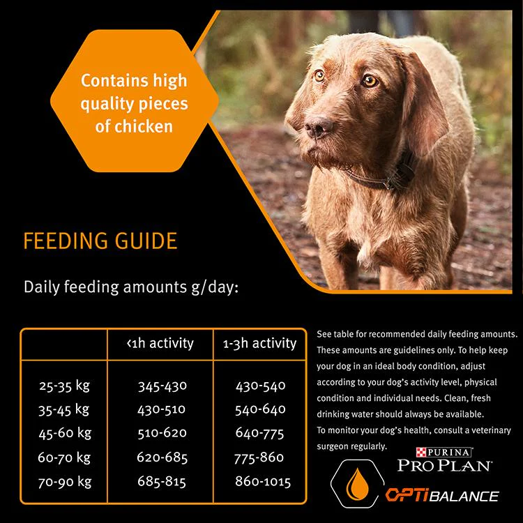 Purina PRO PLAN Large Athletic Everyday Nutrition Dry Dog Food - Chicken - Image 7