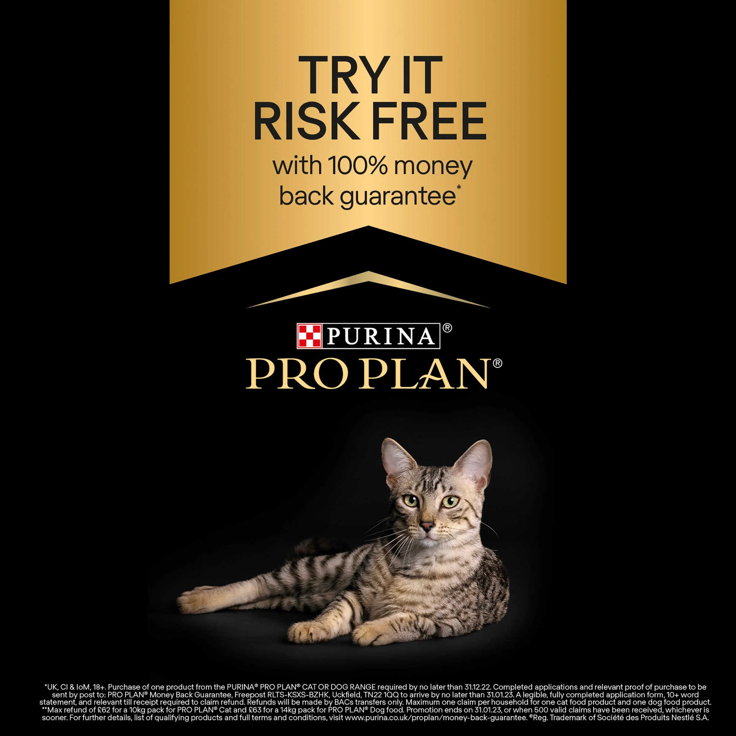 Pro Plan Longevis Sterilised 7+Senior Dry Cat Food - Turkey - Image 5