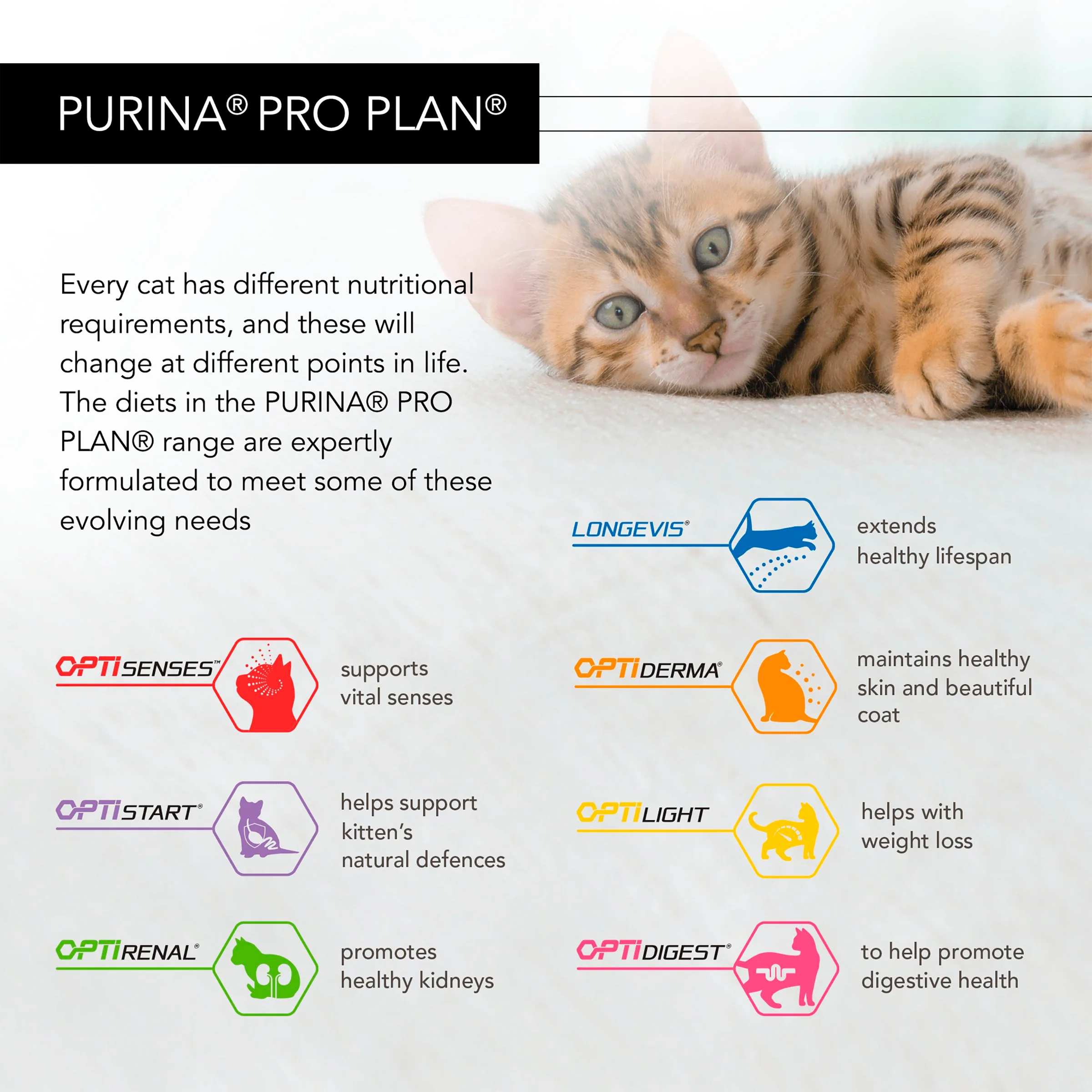 Purina Pro Plan NutriSavour Delicate Adult Wet Cat Food - Ocean Fish in Gravy - Image 5