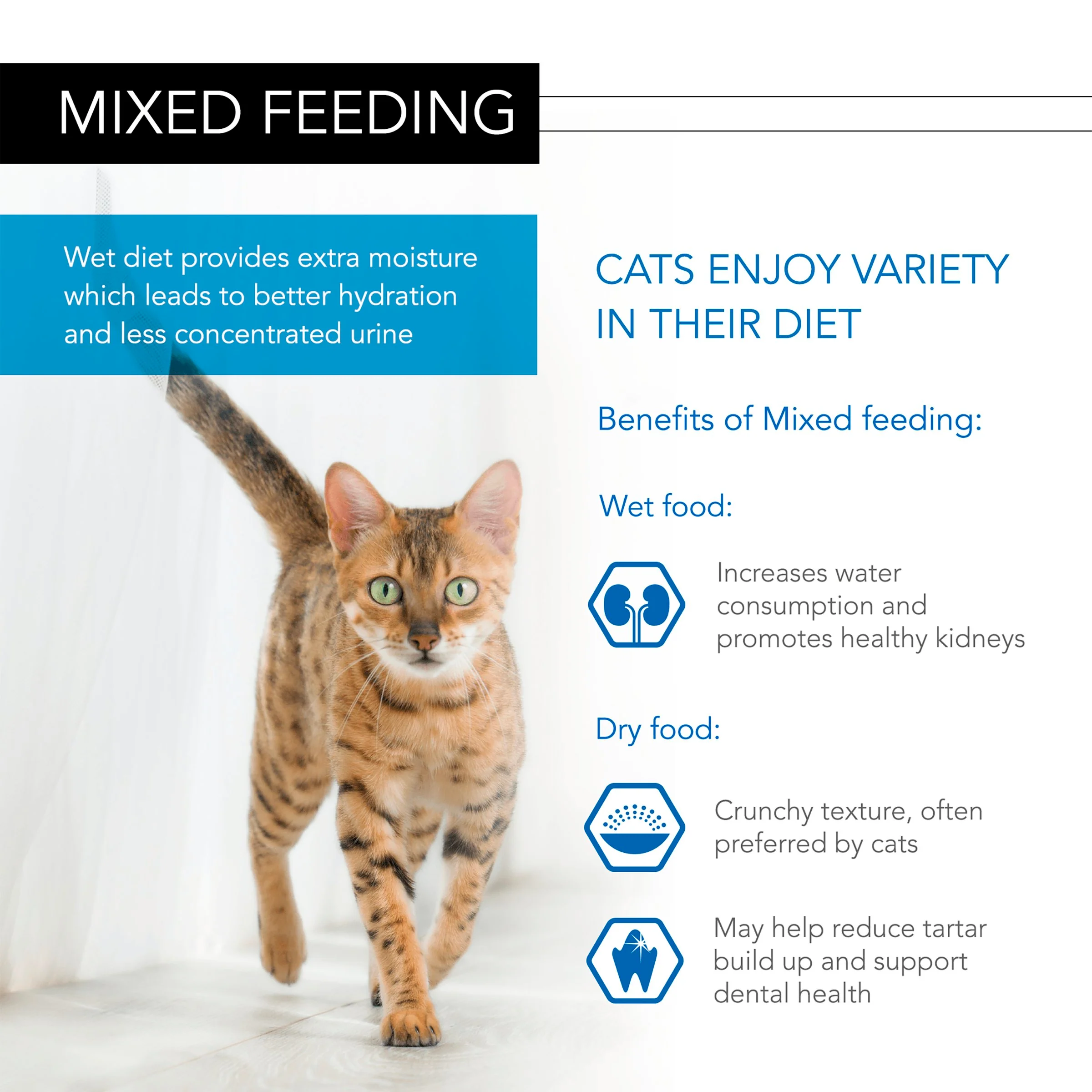 Purina Pro Plan NutriSavour Delicate Adult Wet Cat Food - Ocean Fish in Gravy - Image 6