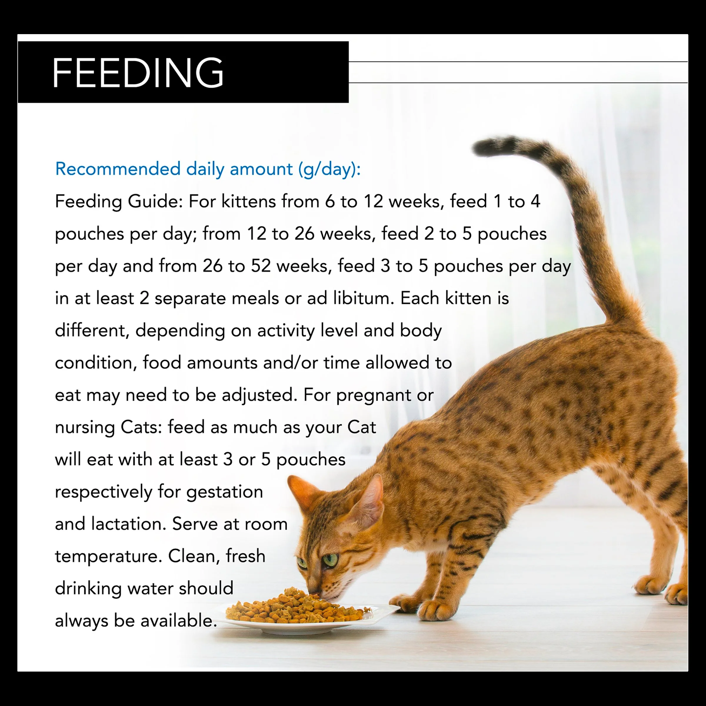 Pro Plan NutriSavour Kitten Turkey - Image 5