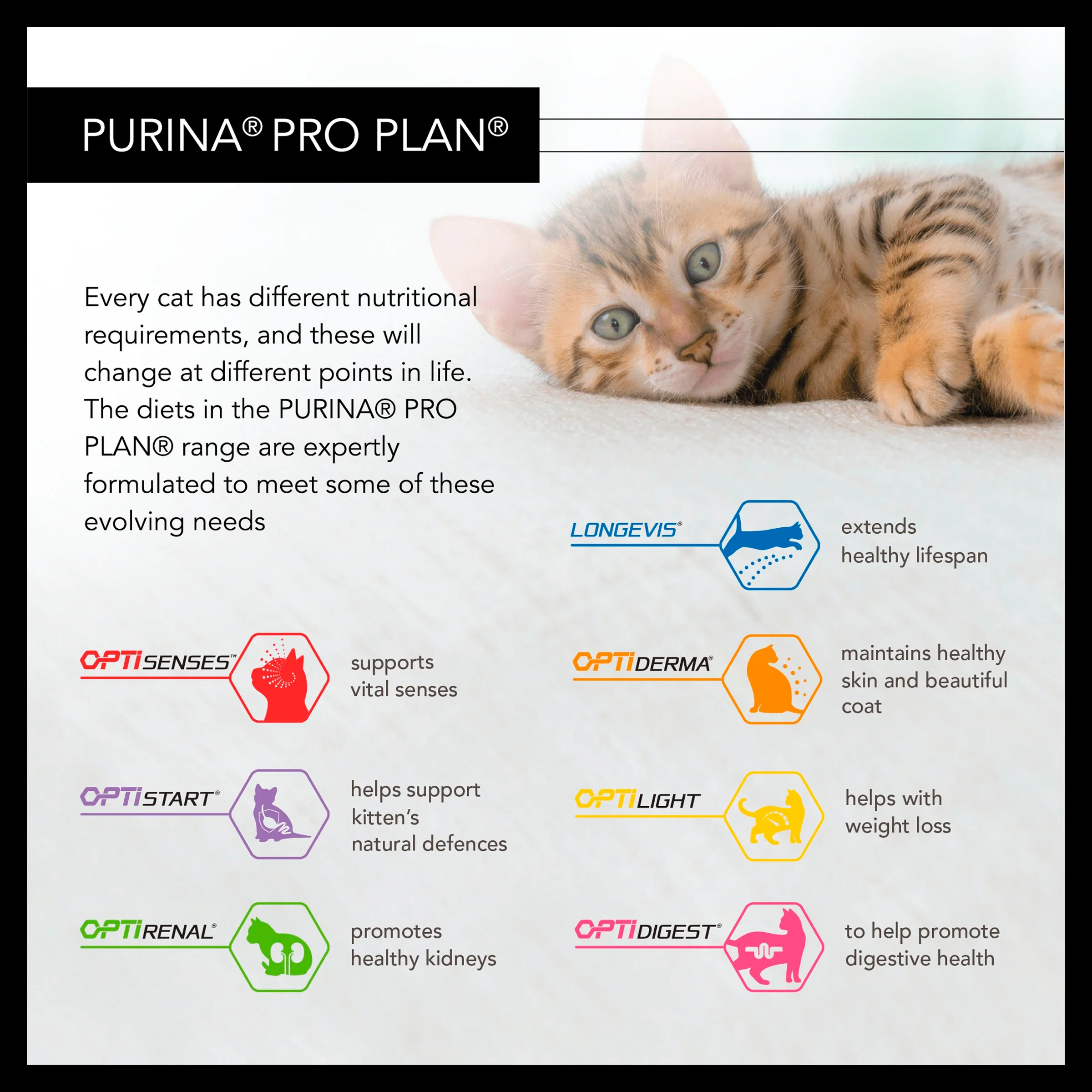 Purina Pro Plan NutriSavour Sterilised Adult Wet Cat Food - Chicken in Gravy - Image 5