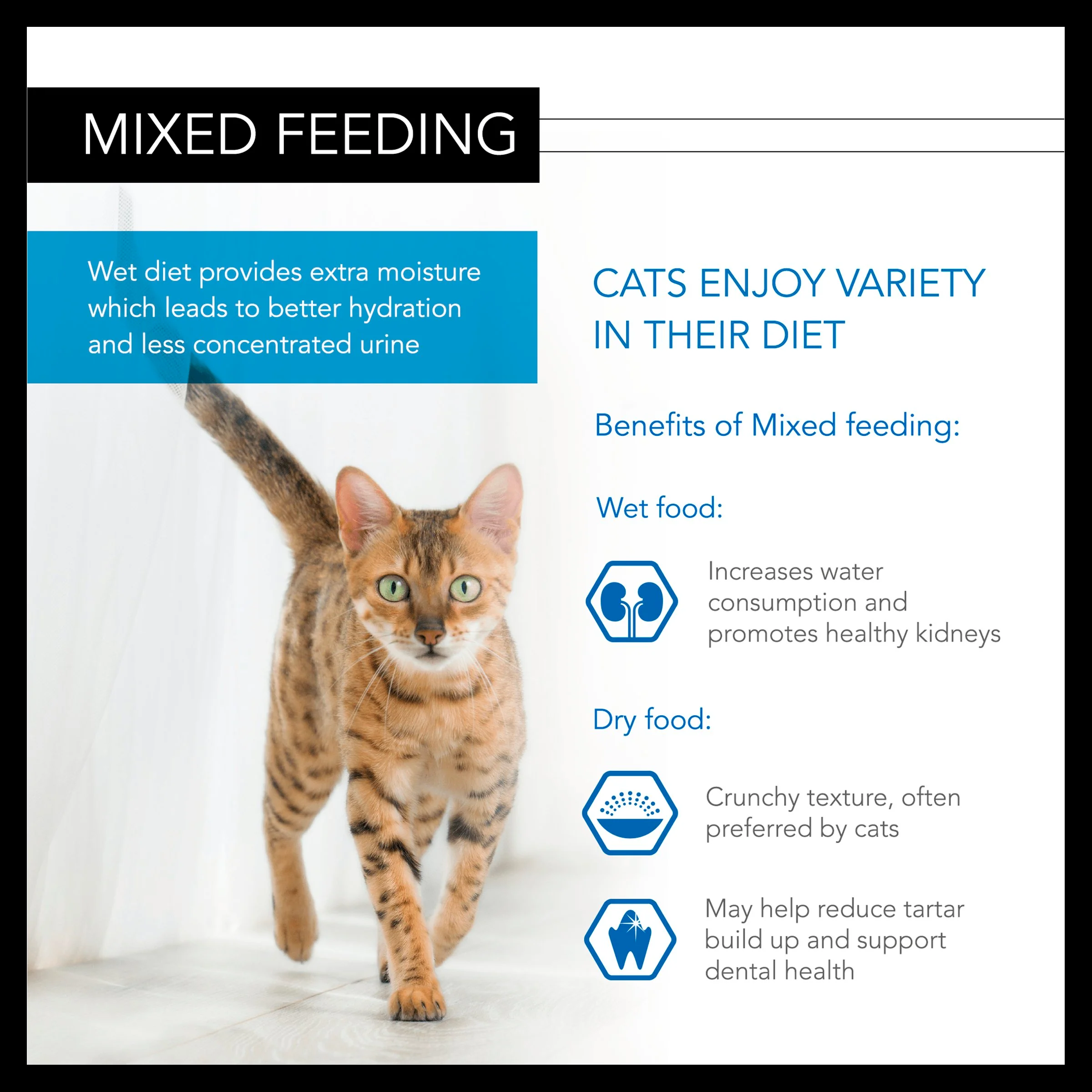 Purina Pro Plan NutriSavour Sterilised Adult Wet Cat Food - Chicken in Gravy - Image 6