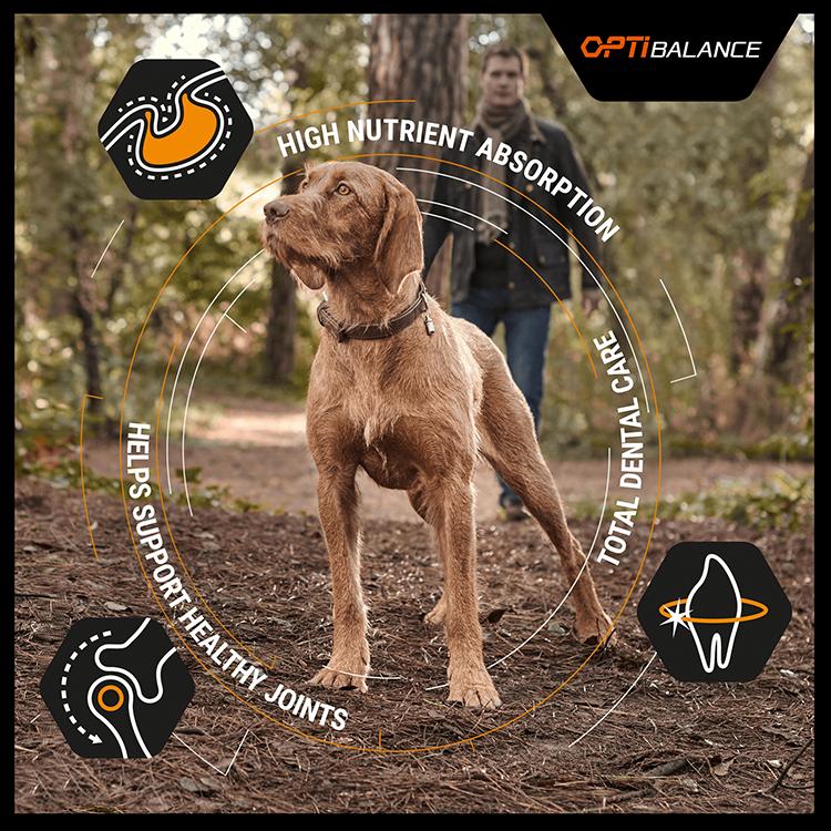 Purina Pro Plan Opti Balance Large Robust Adult Dry Dog Food - Chicken - Image 3