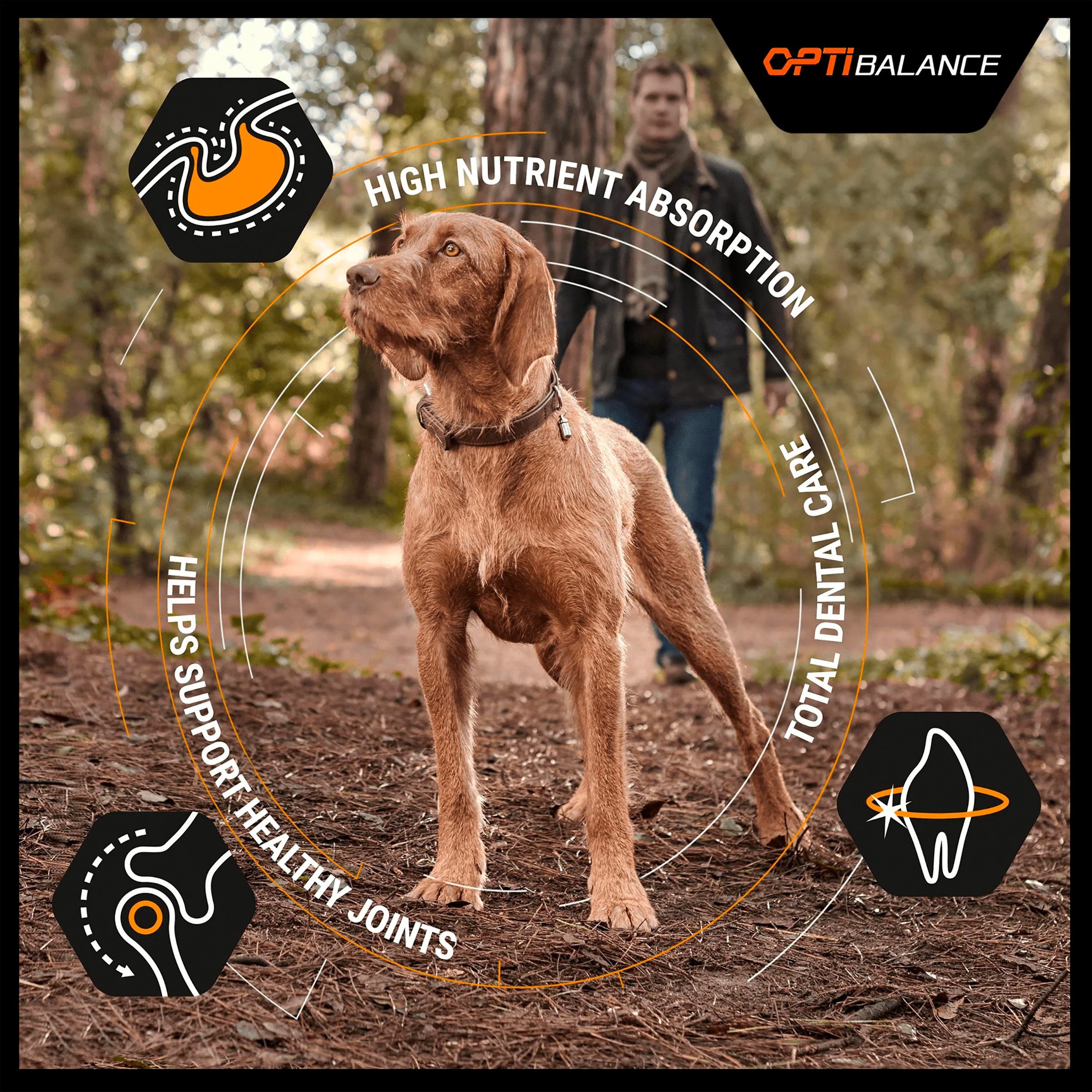 Purina Pro Plan Opti Balance Medium Adult Dry Dog Food - Chicken - Image 2