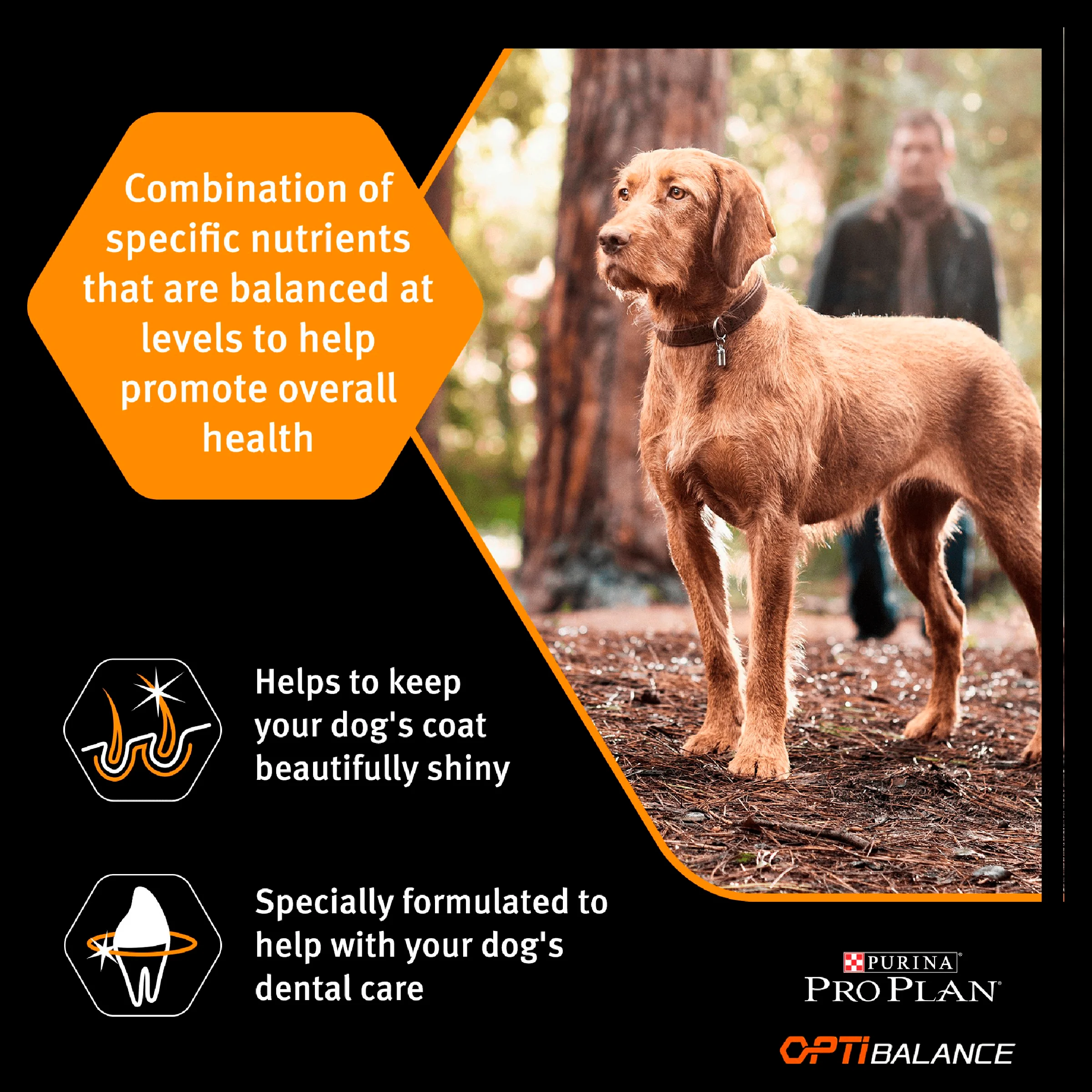 Purina Pro Plan Opti Balance Medium Adult Dry Dog Food - Chicken - Image 4