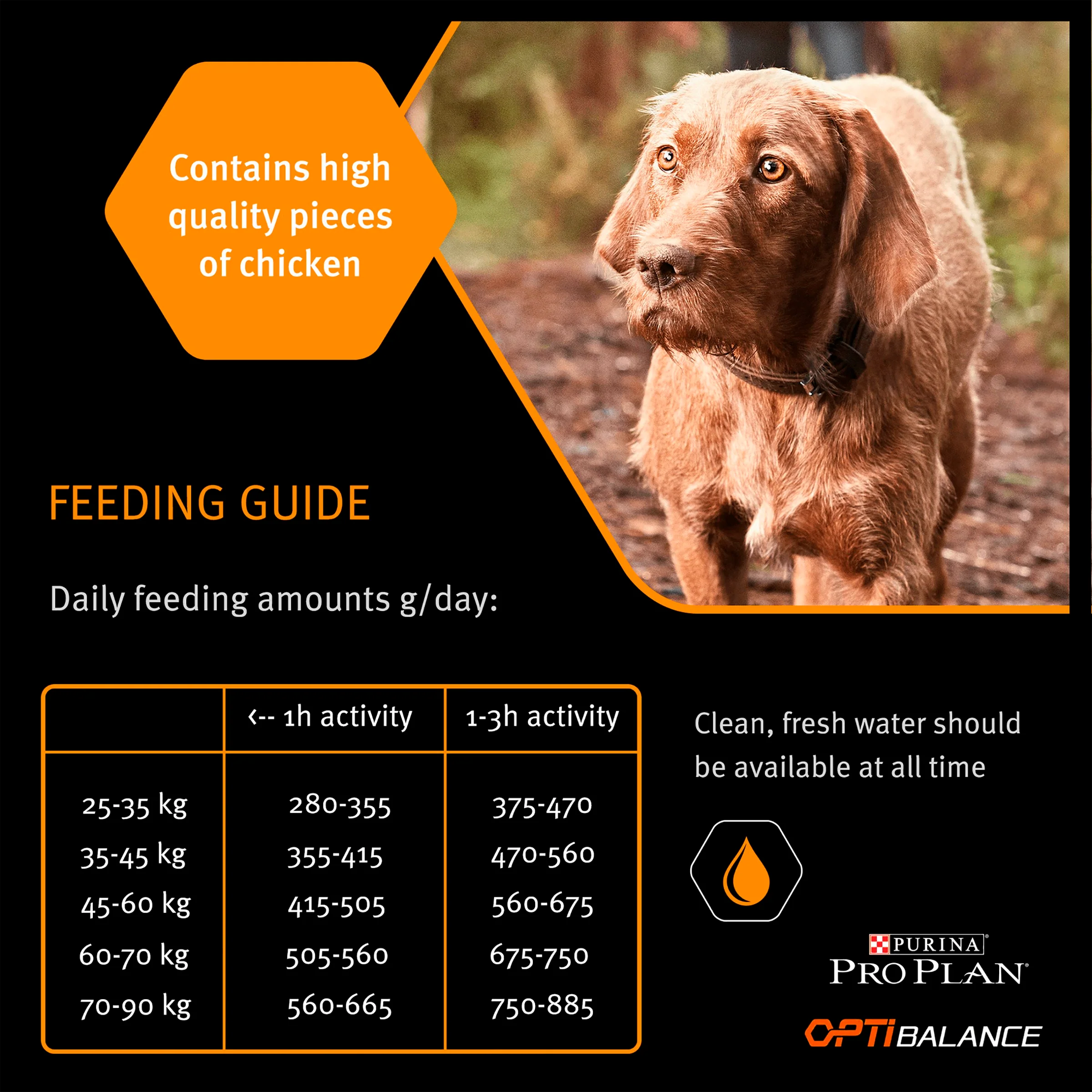 Purina Pro Plan Opti Balance Medium Adult Dry Dog Food - Chicken - Image 6