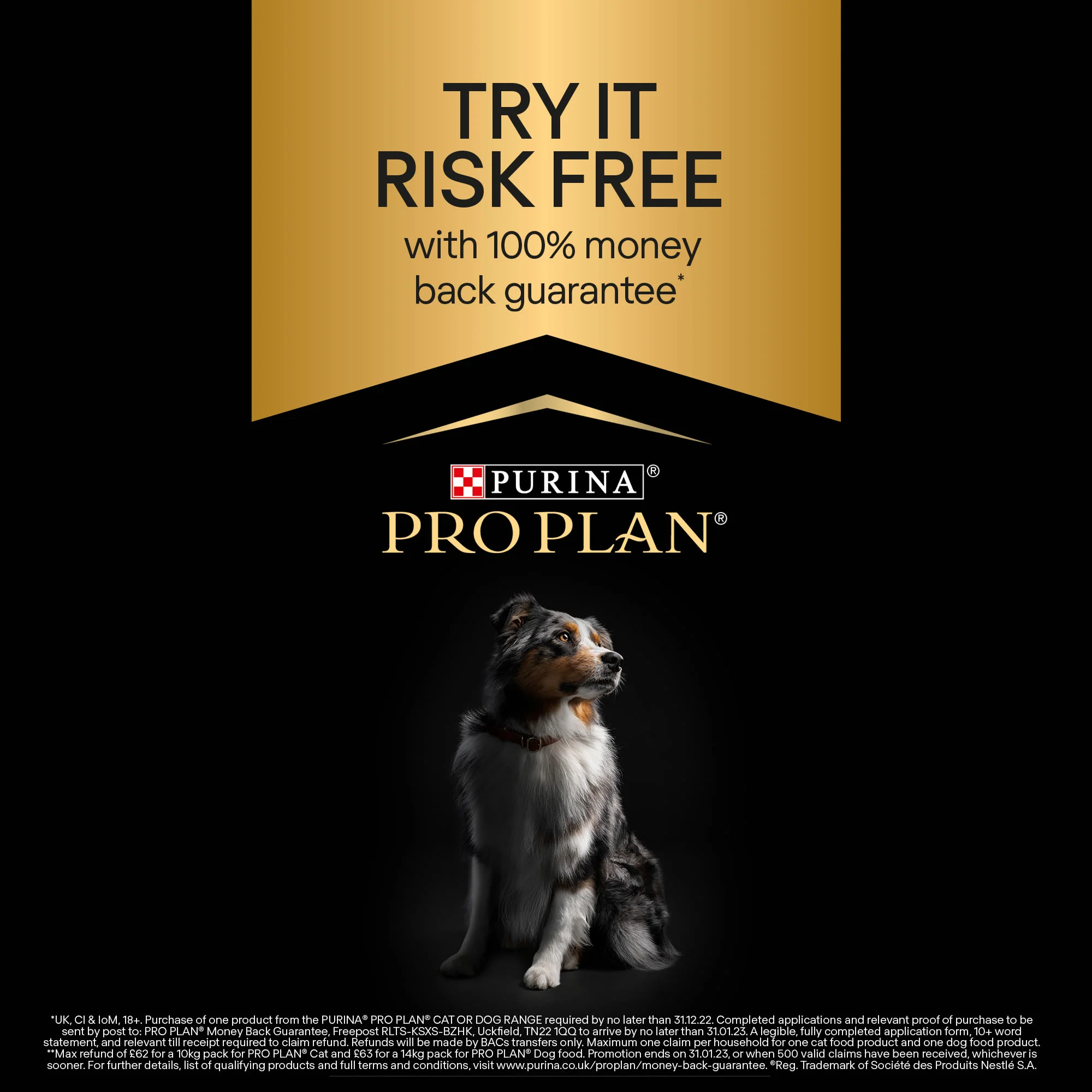 Purina Pro Plan Opti Derma Sensitive Skin Large Athletic Adult Dry Dog Food - Salmon - Image 5