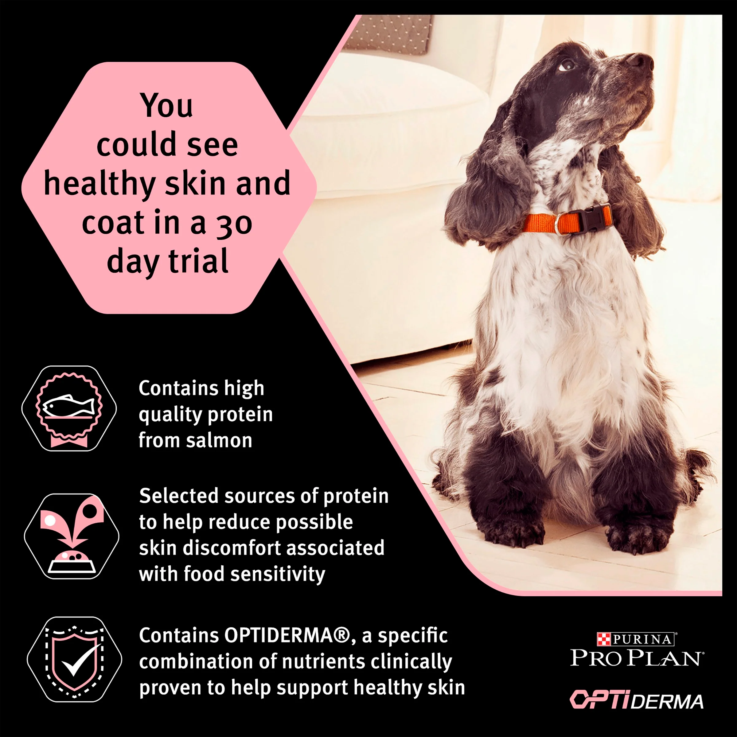 Purina Pro Plan Opti Derma Sensitive Skin Medium Adult Dry Dog Food - Salmon - Image 2