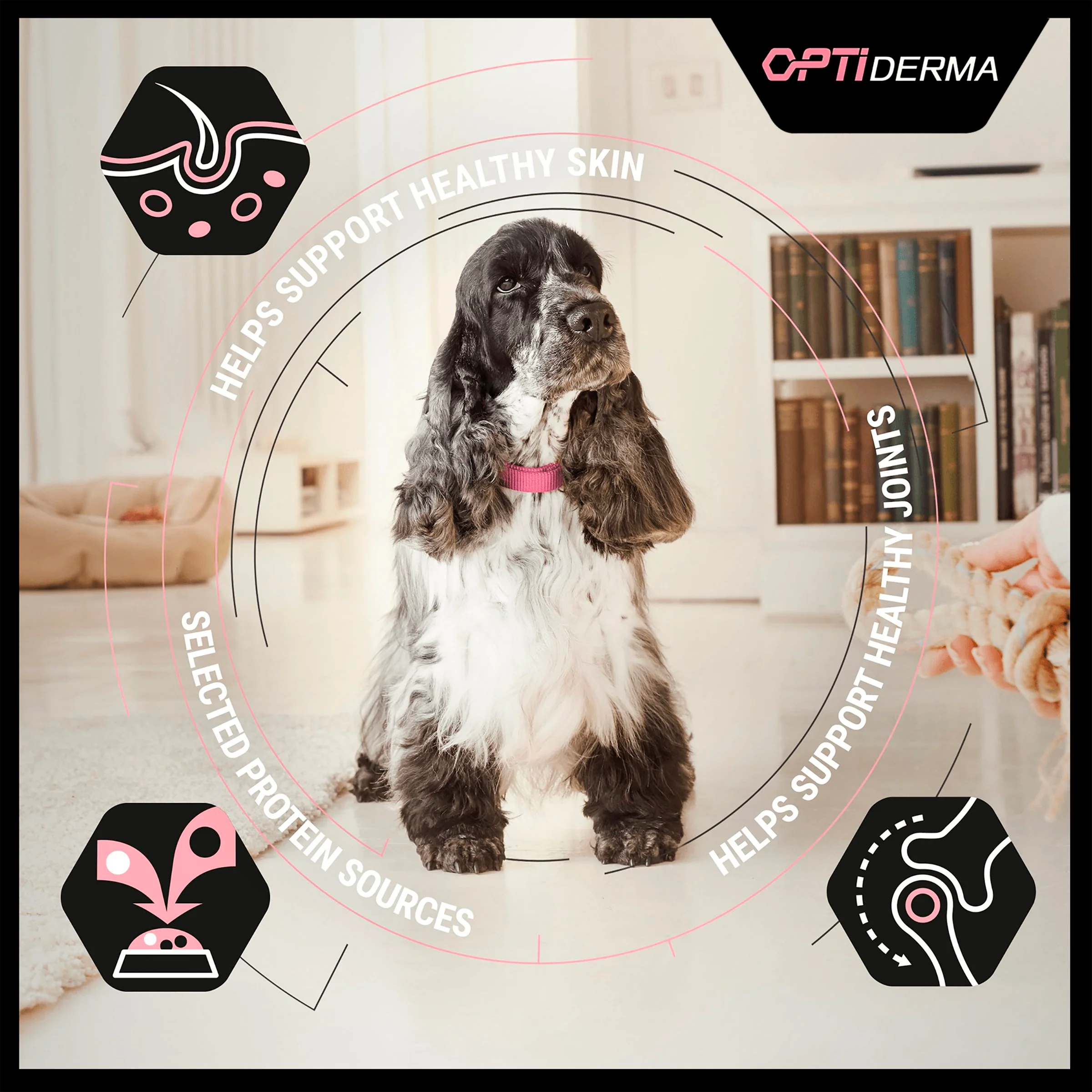 Purina Pro Plan Opti Derma Sensitive Skin Medium Adult Dry Dog Food - Salmon - Image 3