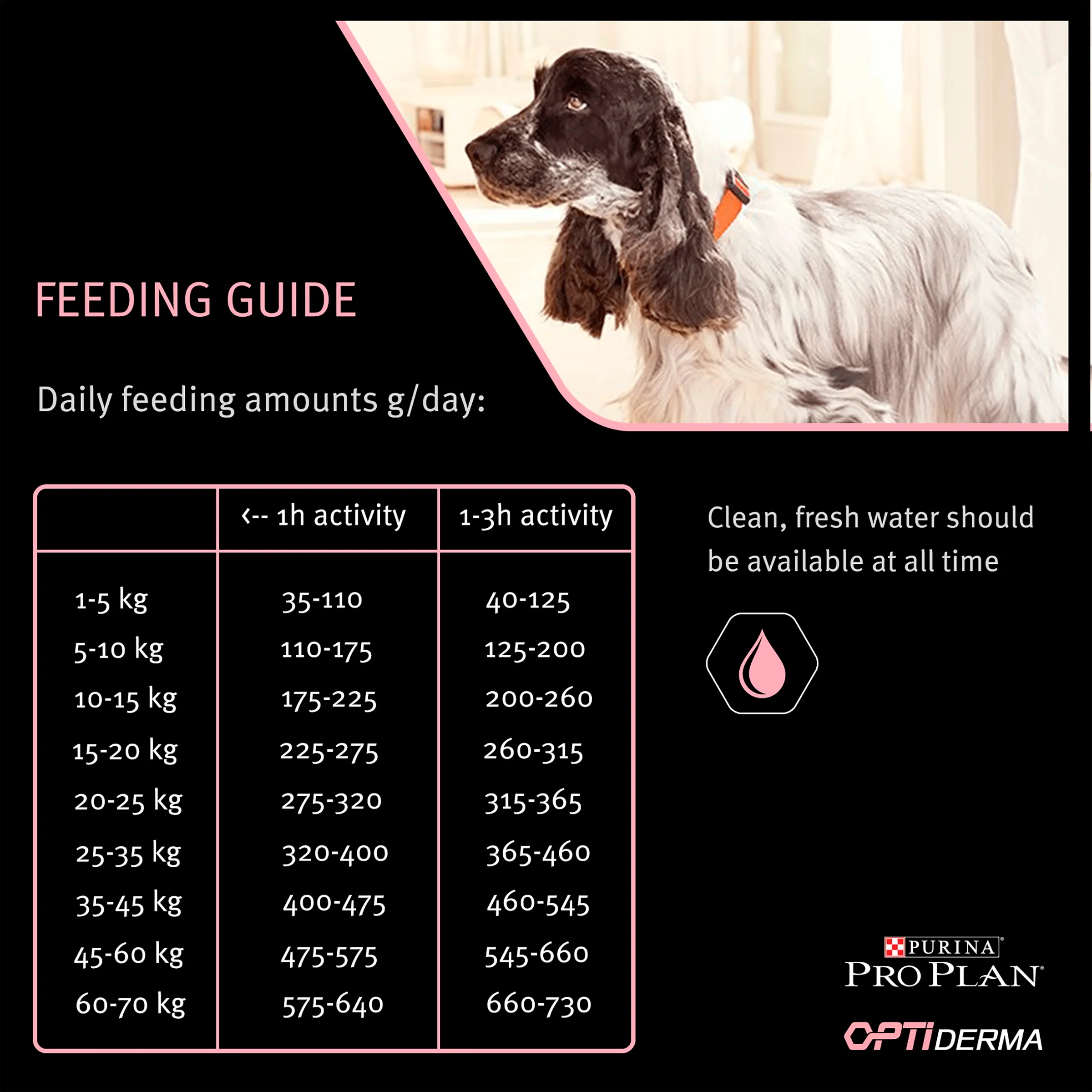 Purina Pro Plan Opti Derma Sensitive Skin Medium Adult Dry Dog Food - Salmon - Image 7
